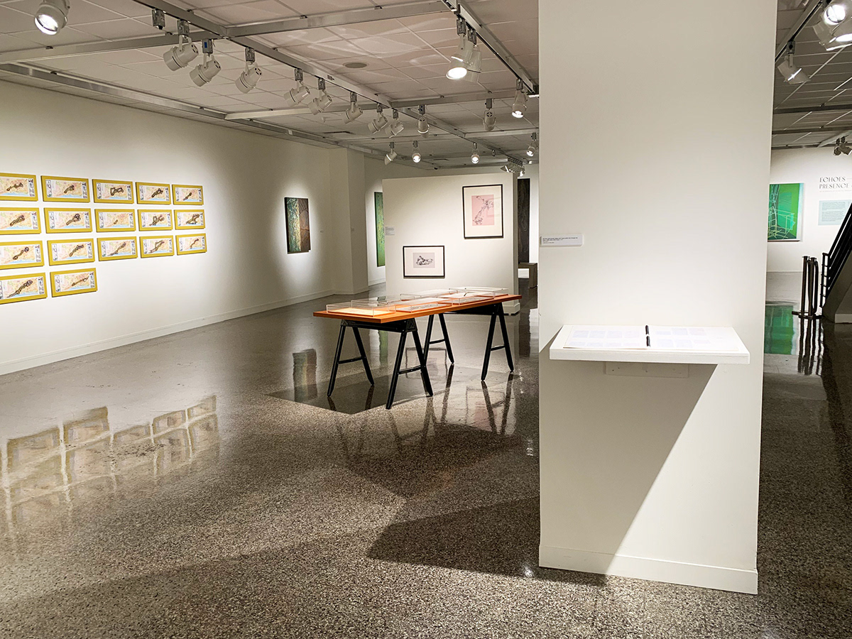 Installation at Rockford Art Museum
