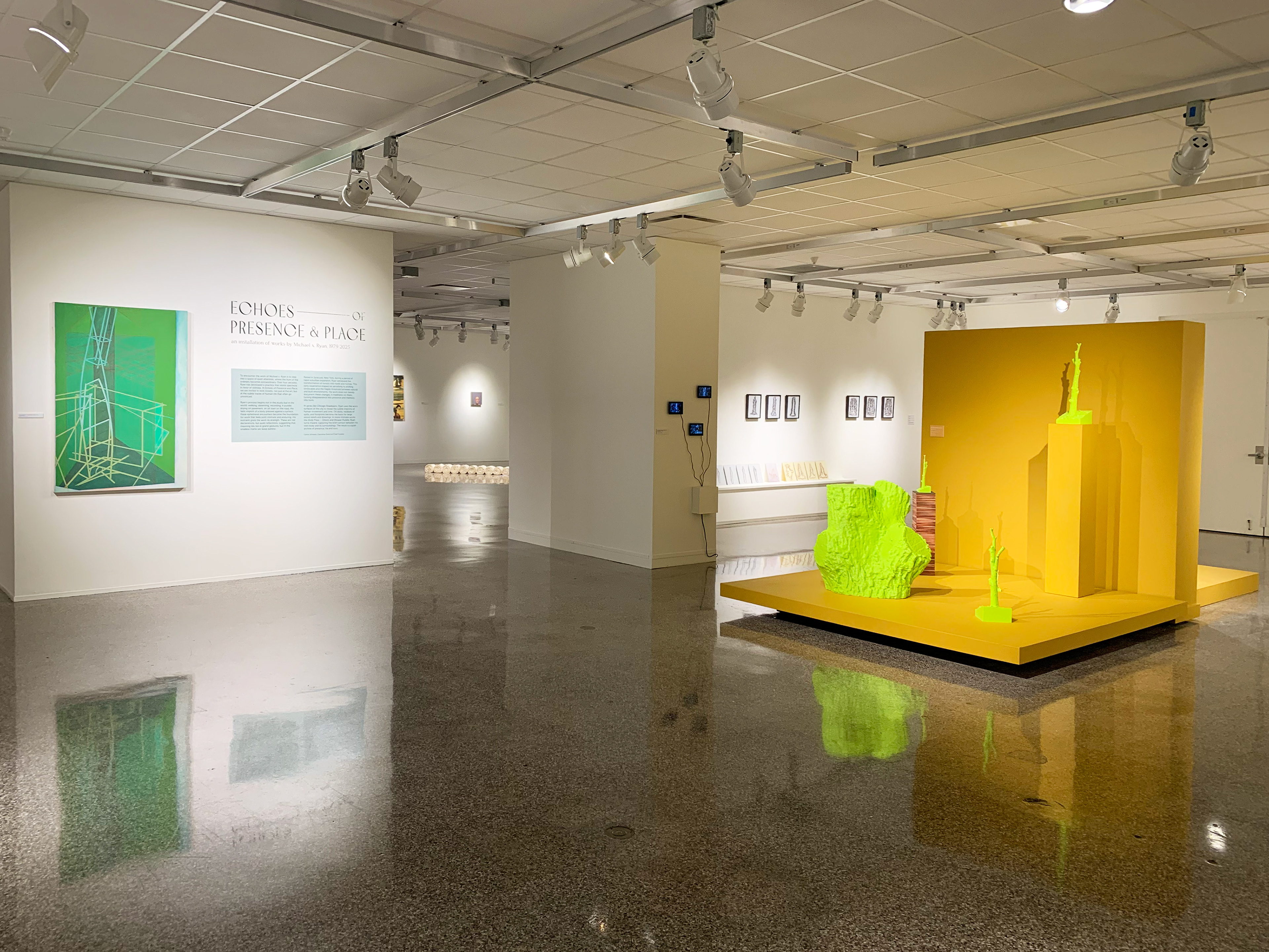 Installation at Rockford Art Museum