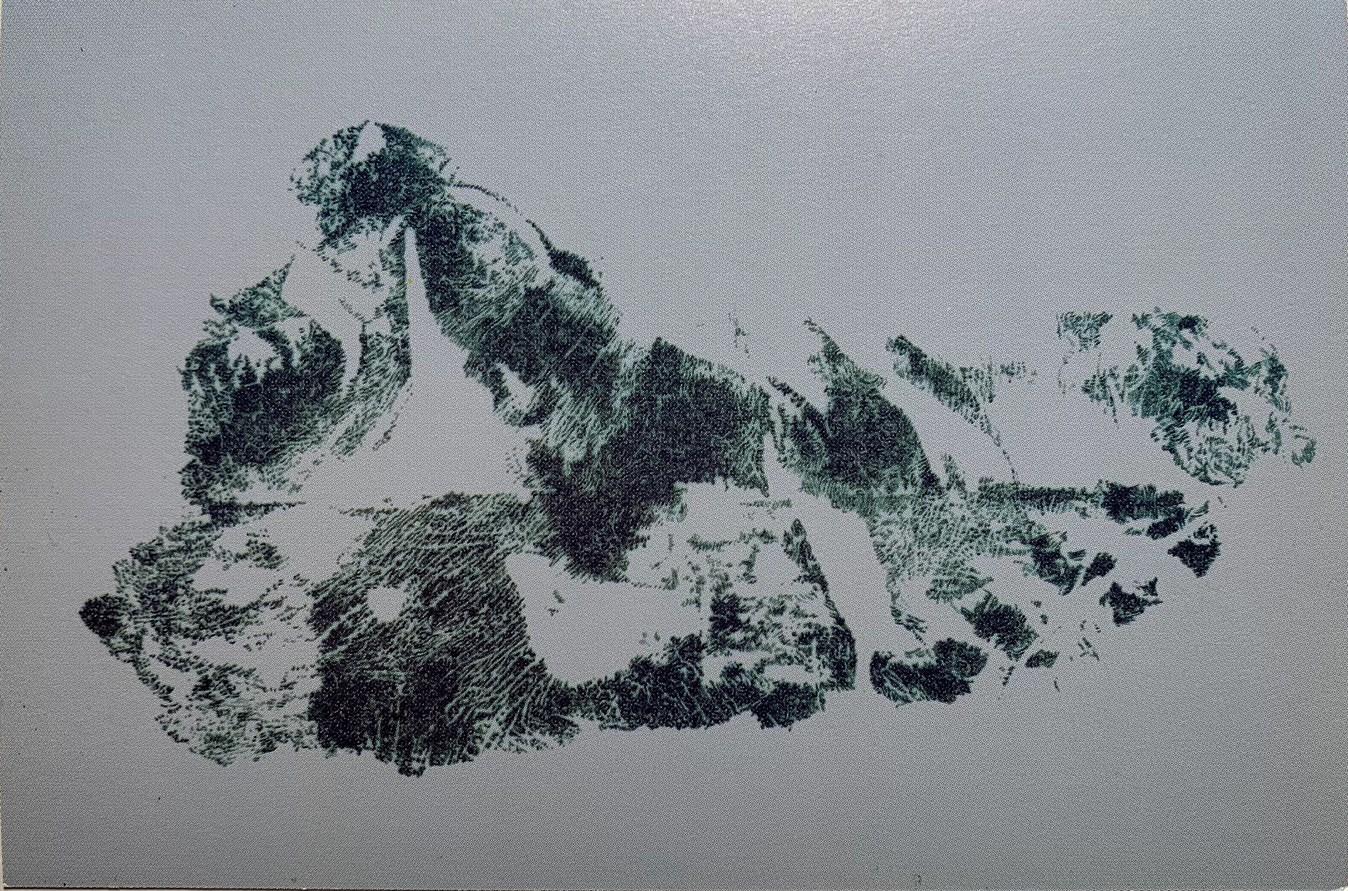 [BP3] Butch On/Under Foot, 2000 graphite on Mylar over colored board Framed: 20.25 x 28.25 x 1.25 in (51.44 x 71.76 x 3.18 cm)