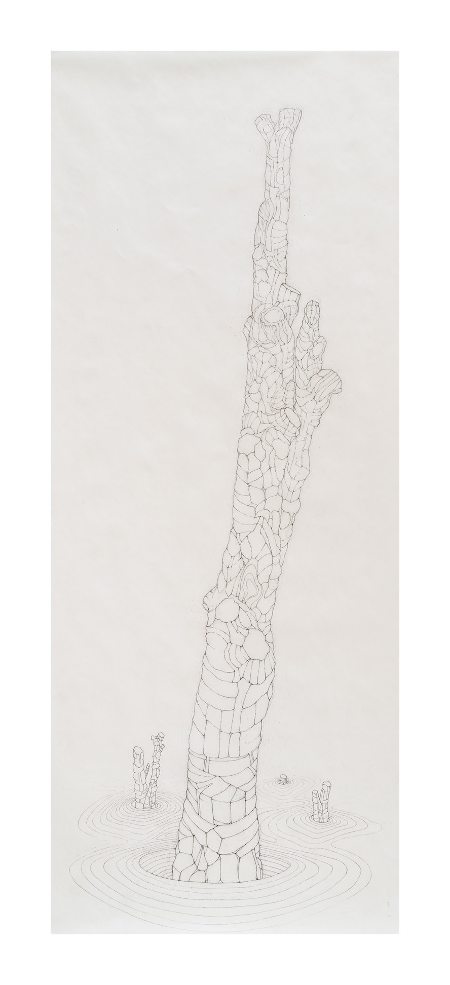 Amputated Wise Oak 2, 2022-23 graphite on vellum Paper size: 30 x 12 in (76.2 x 30.48 cm) Framed: 32.5 x 15 in (82.55 x 38.1 cm)