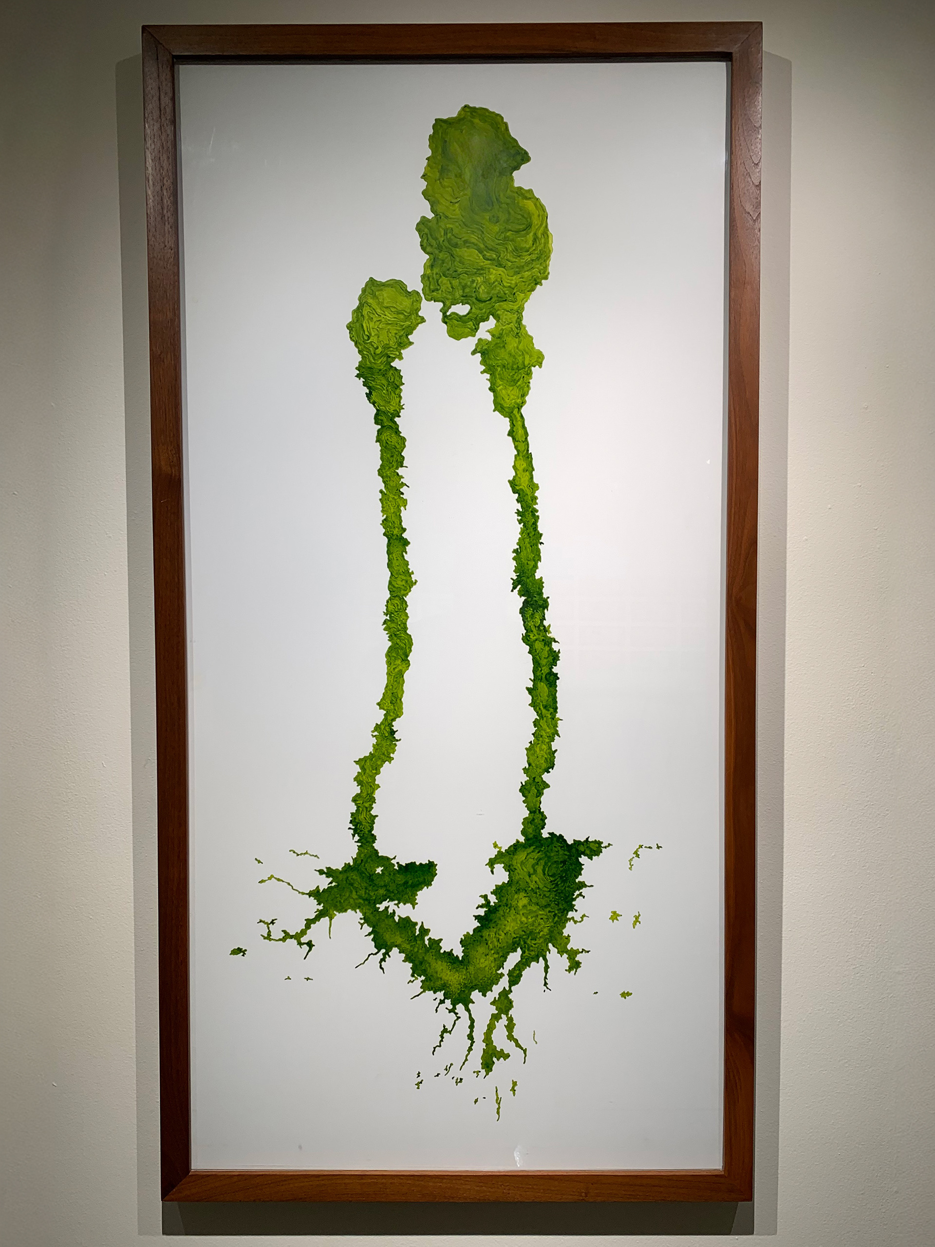 [CR6] Roadstains #1: Block party beer stain on Potomac Ave., Chicago, July 2004 (watercolor on Mylar)