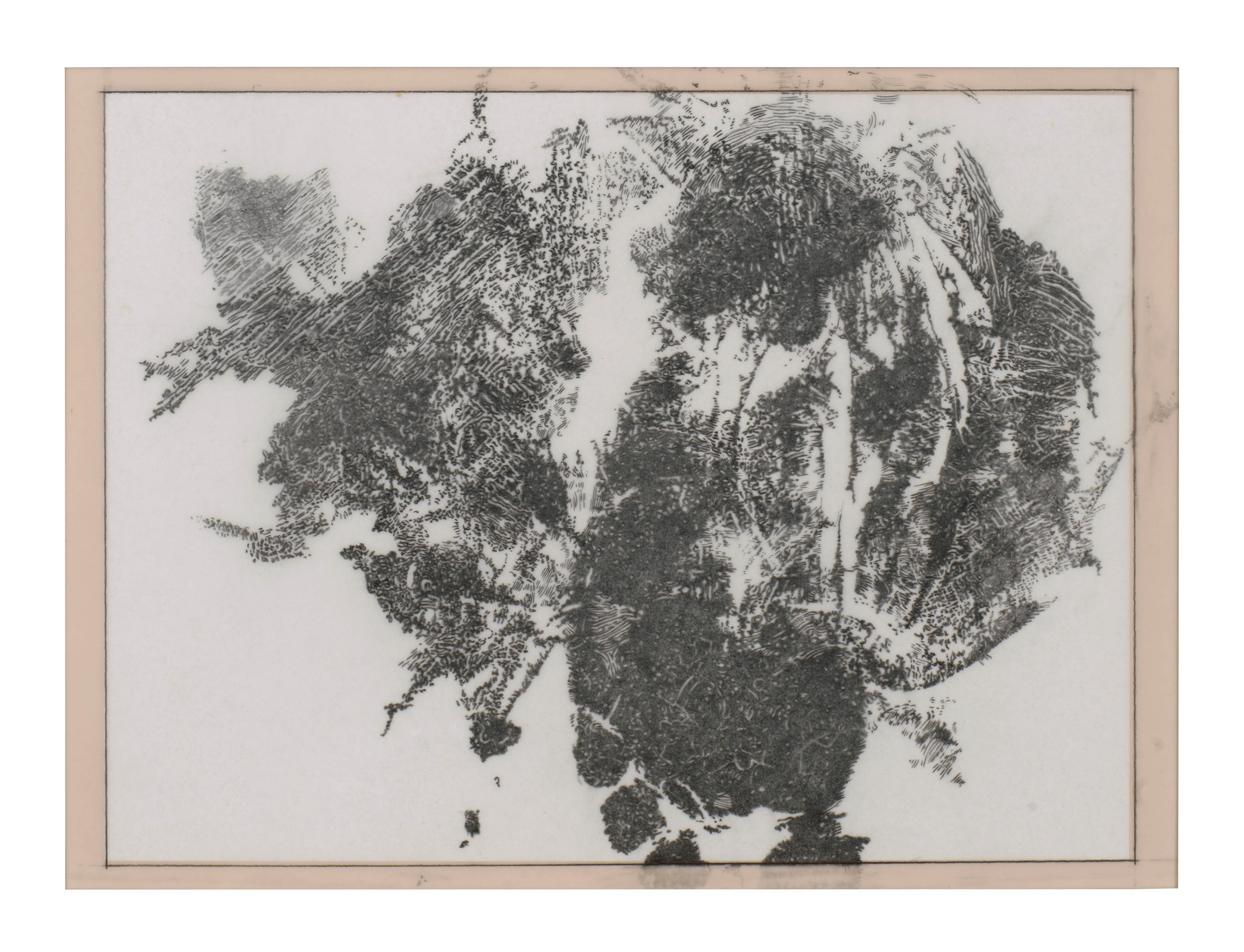 Lambchop-right knee-self, 2000 graphite on Mylar over colored board Framed: 20.25 x 17.75 x 1.25 in (51.44 x 45.09 x 3.18 cm)