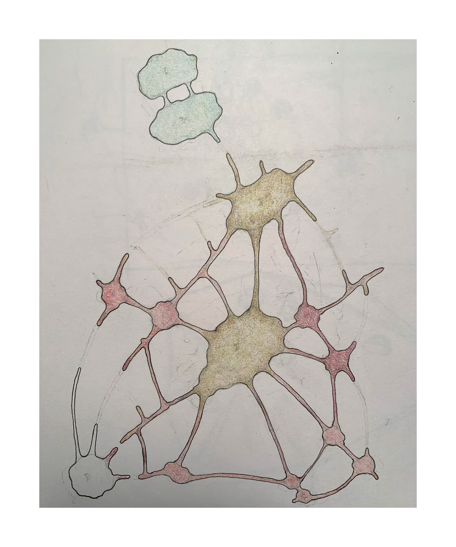Wise One Study Drawings #3 - Diagram Study for VR #2, 2025 Prismacolor pencil on paper Paper size: 11 x 8.5 in (27.94 x 21.59 cm)