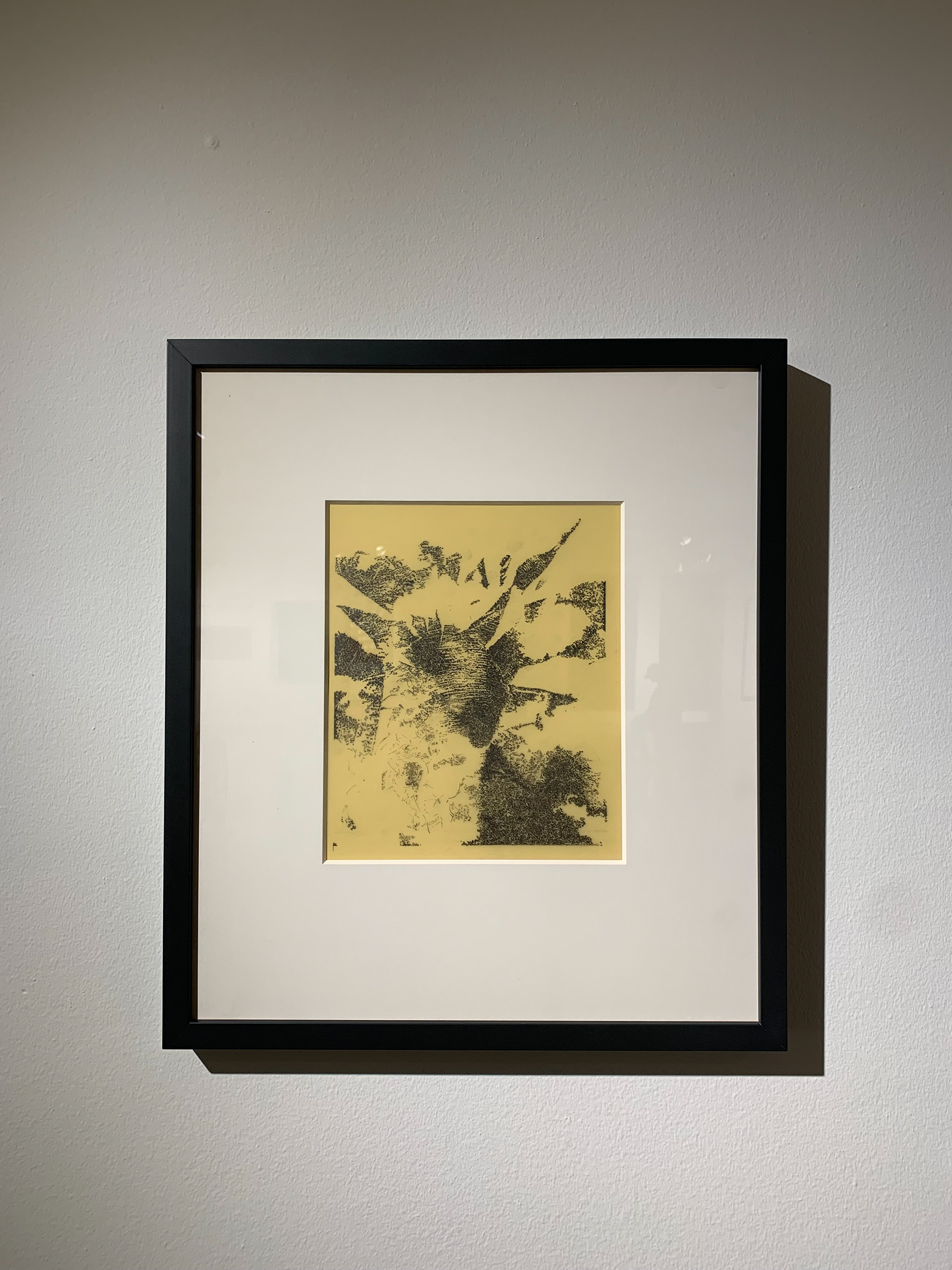 Installation at Rockford Art Museum