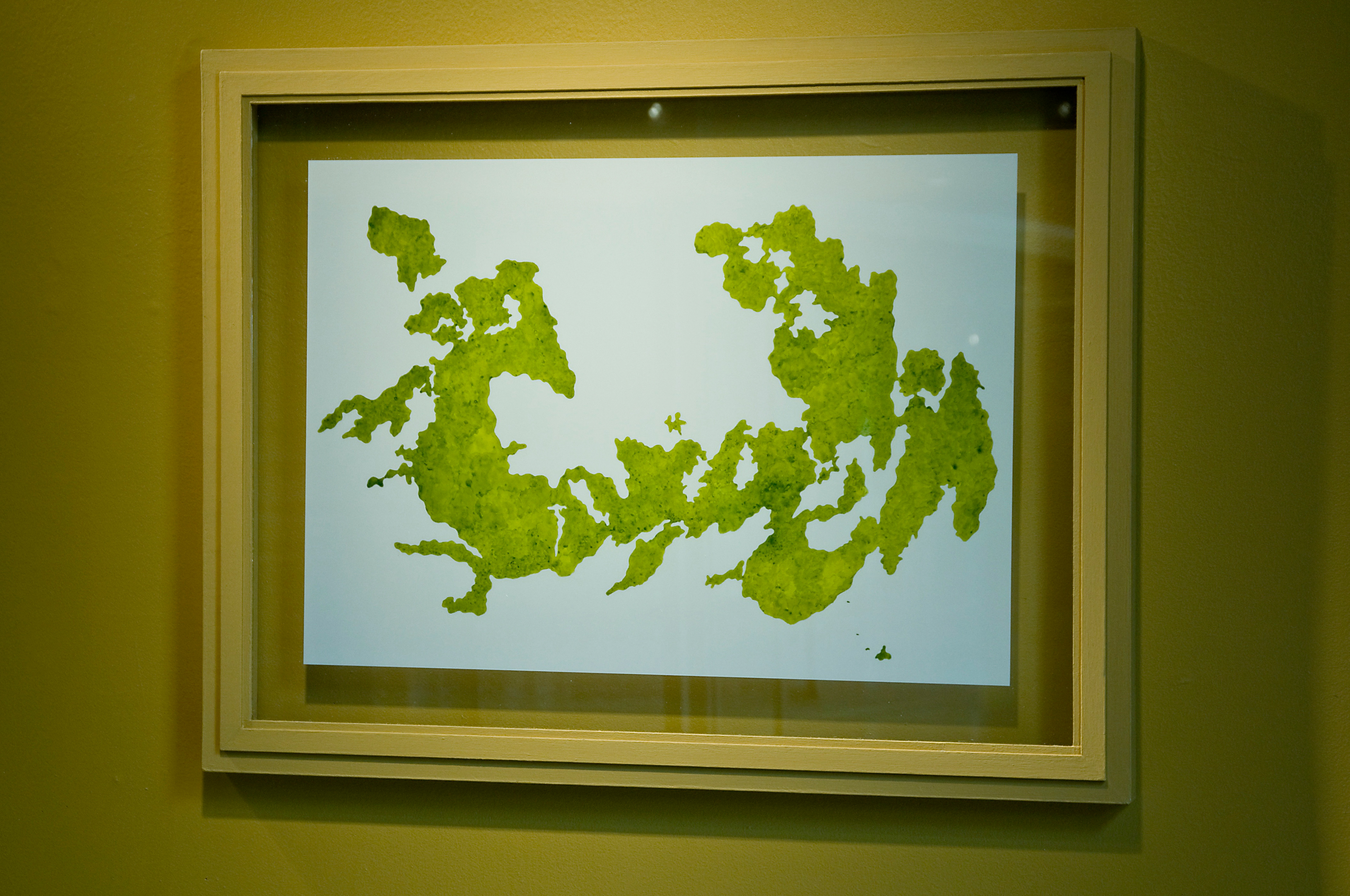 [SP3] Shower Puddle Drawing #4, 1997-2000 Dr. Ph. Martin's dye on Mylar Framed: 24.5 x 31.5 x 1.5 in (62.23 x 80.01 x 3.81 cm)