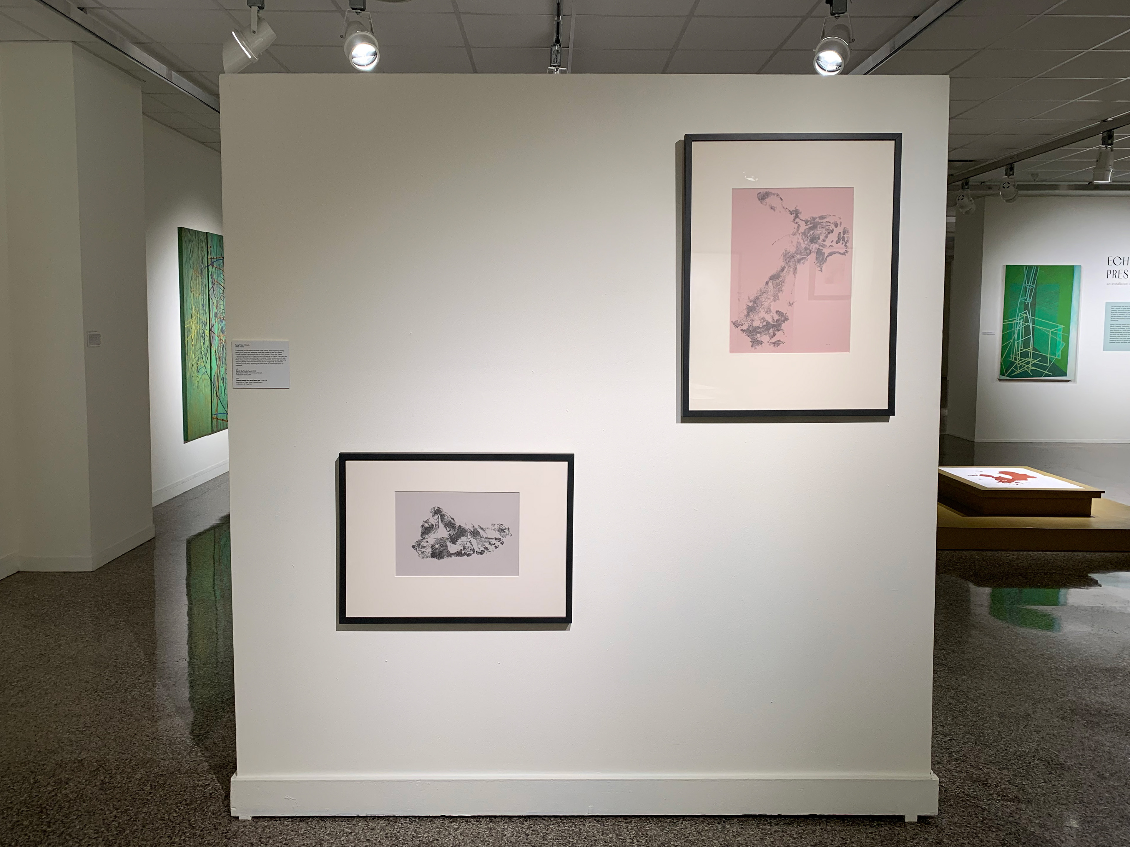 Installation at Rockford Art Museum