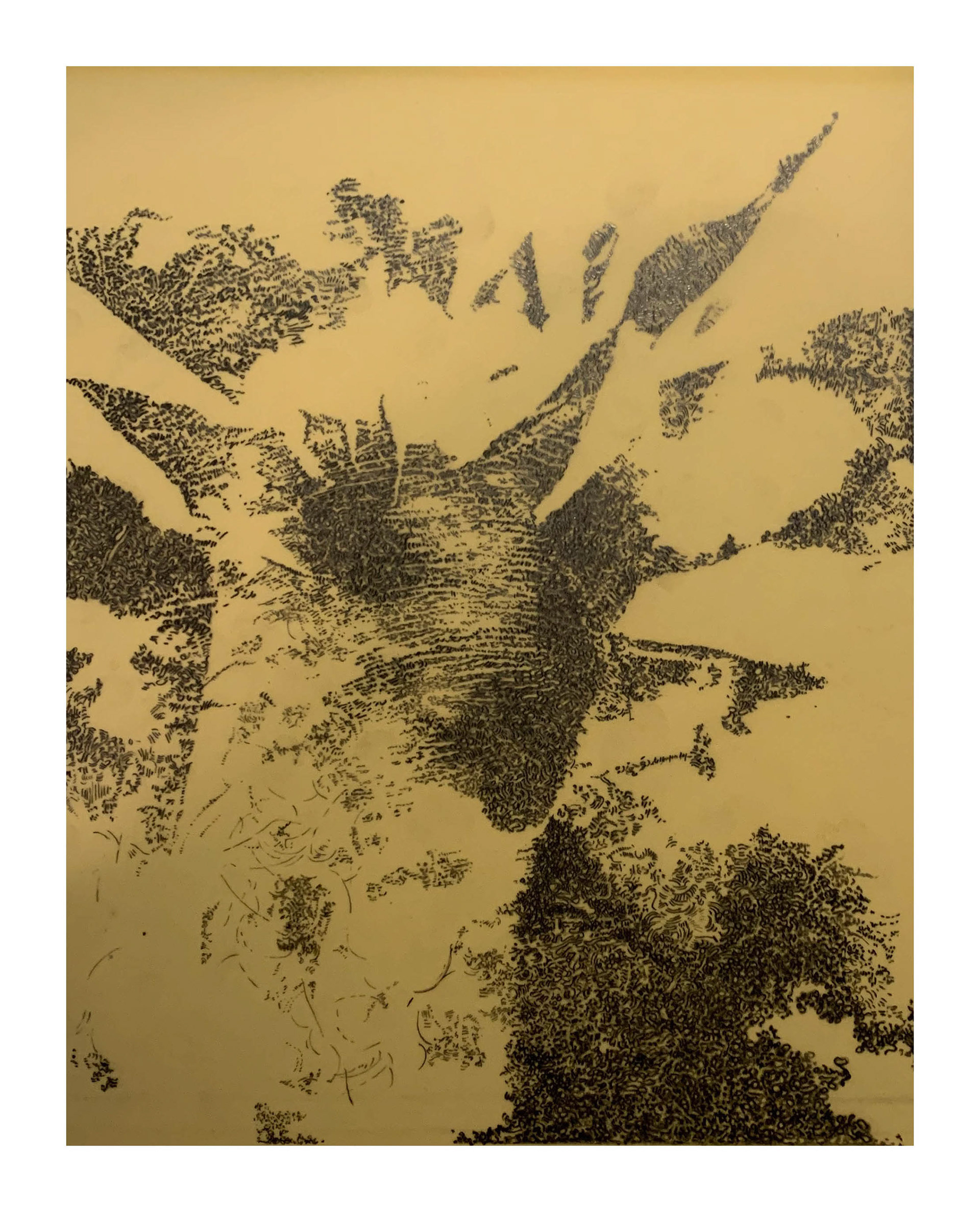 Lambchop-right knee-self, 2000 graphite on Mylar over colored board Framed: 20.25 x 17.75 x 1.25 in (51.44 x 45.09 x 3.18 cm)