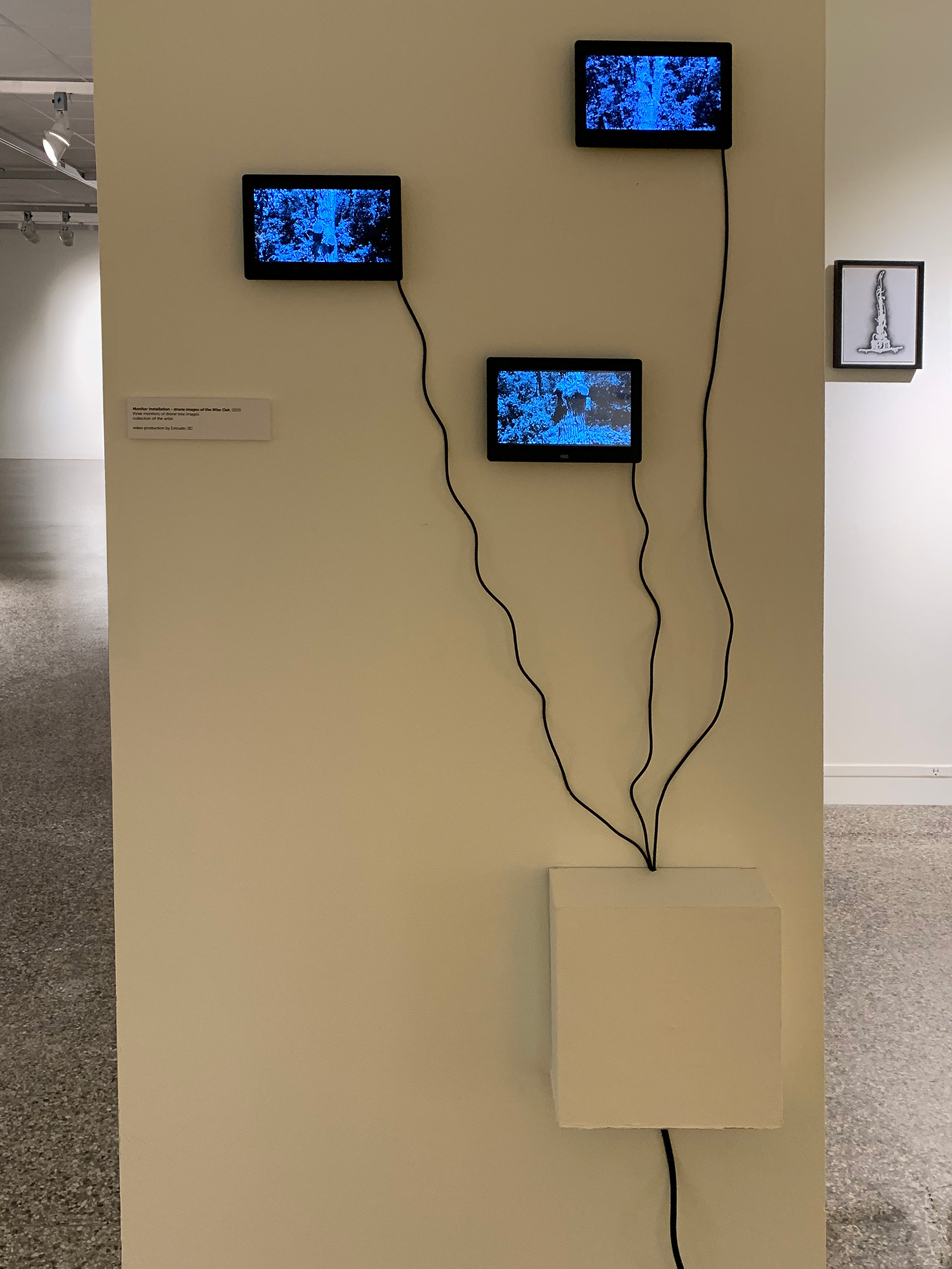 Installation at Rockford Art Museum