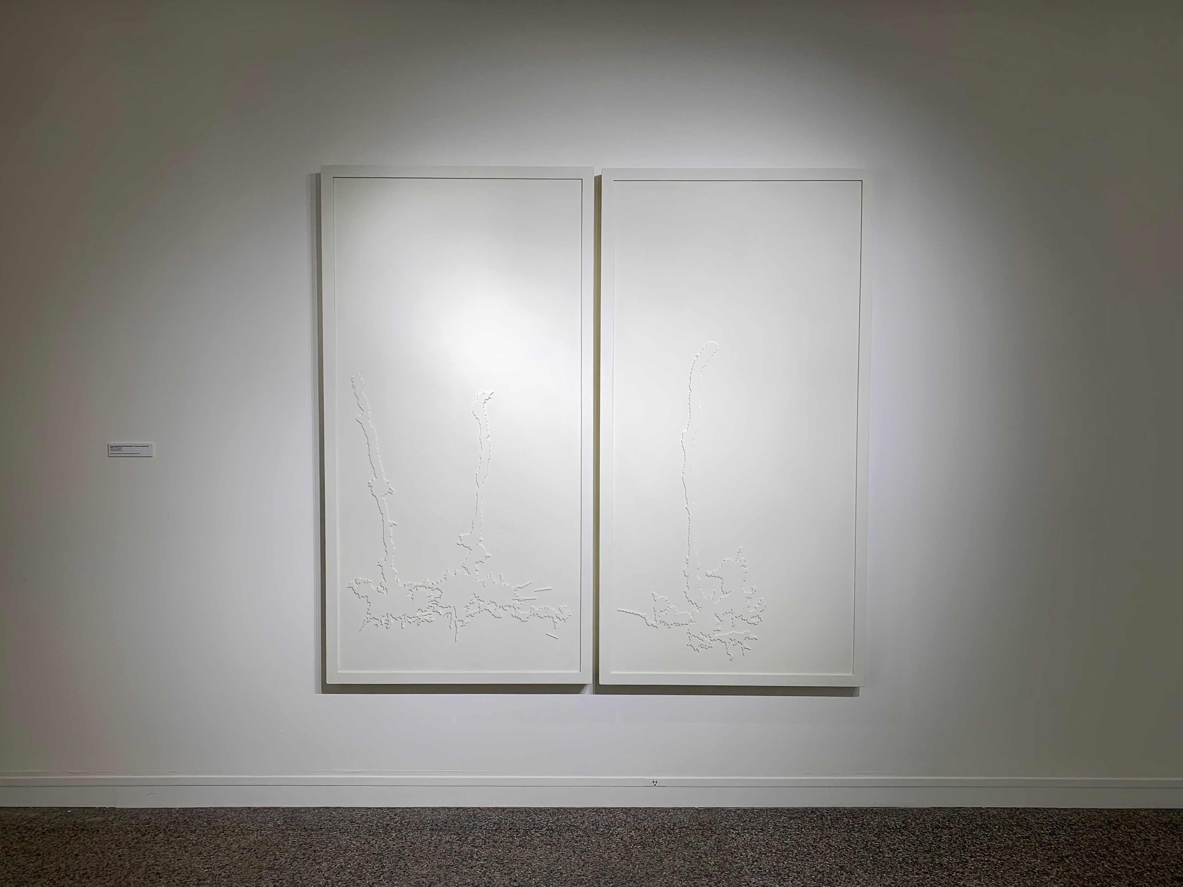 Installation at Rockford Art Museum