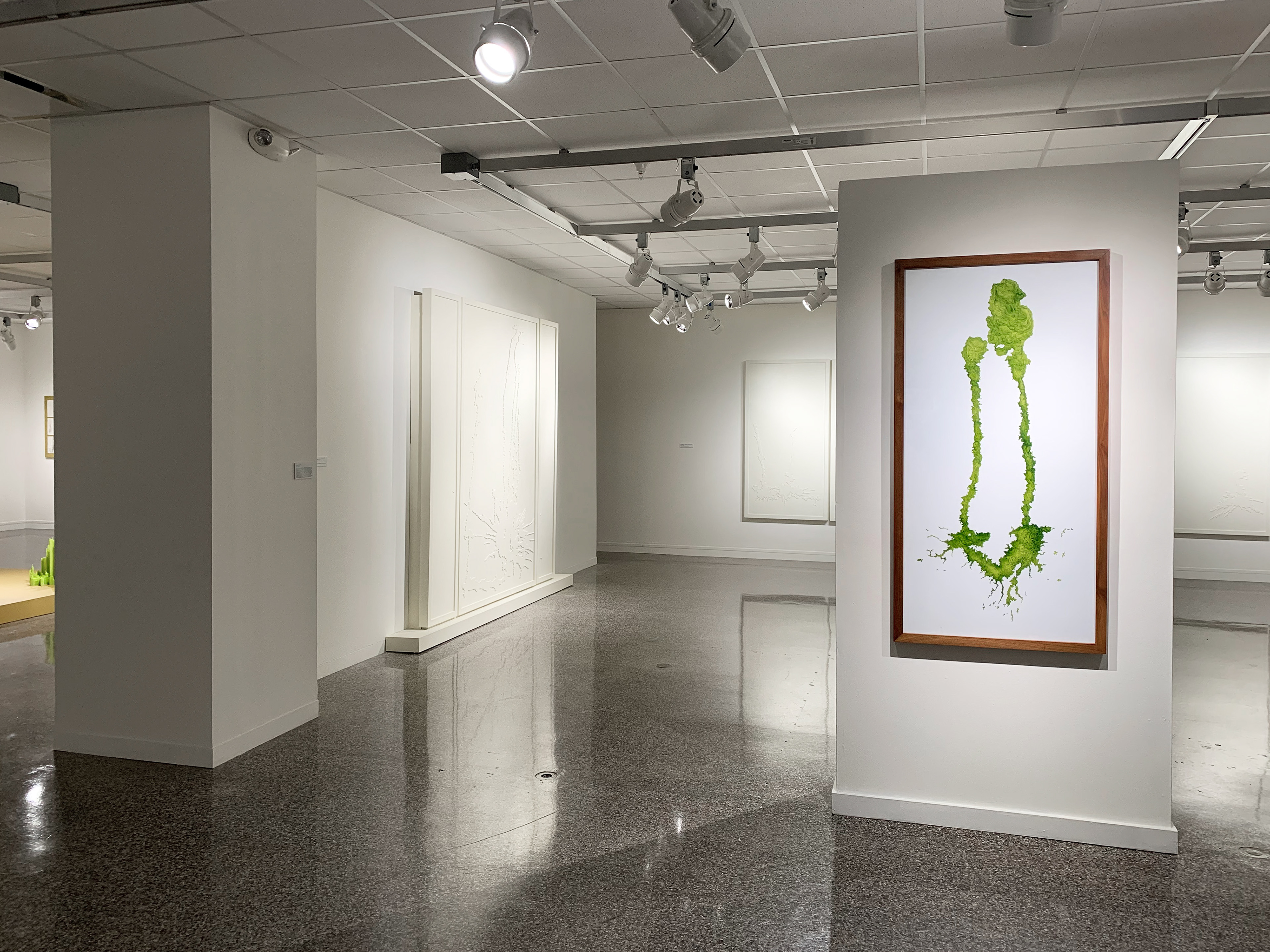 Installation at Rockford Art Museum