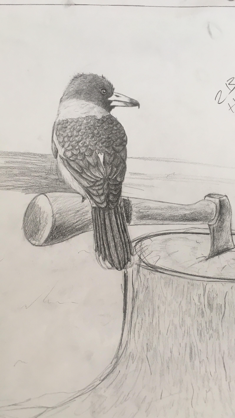 MANDRAKE- graphite- 29x 42cm - 2019