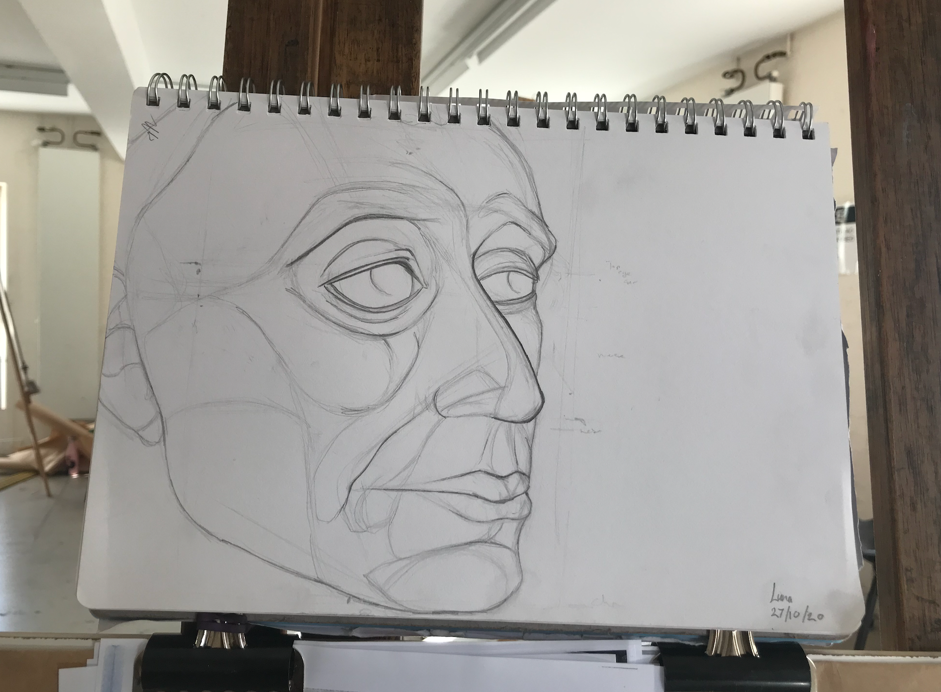 HEAD STUDY- graphite- 21.0 x 29.7 cm- 2020