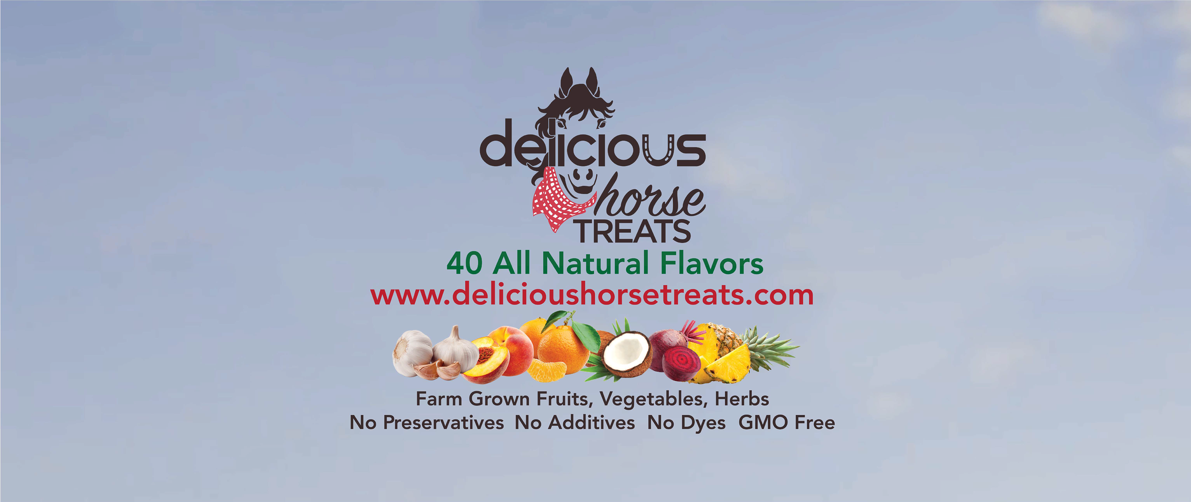 (Original) Trade Show Banner