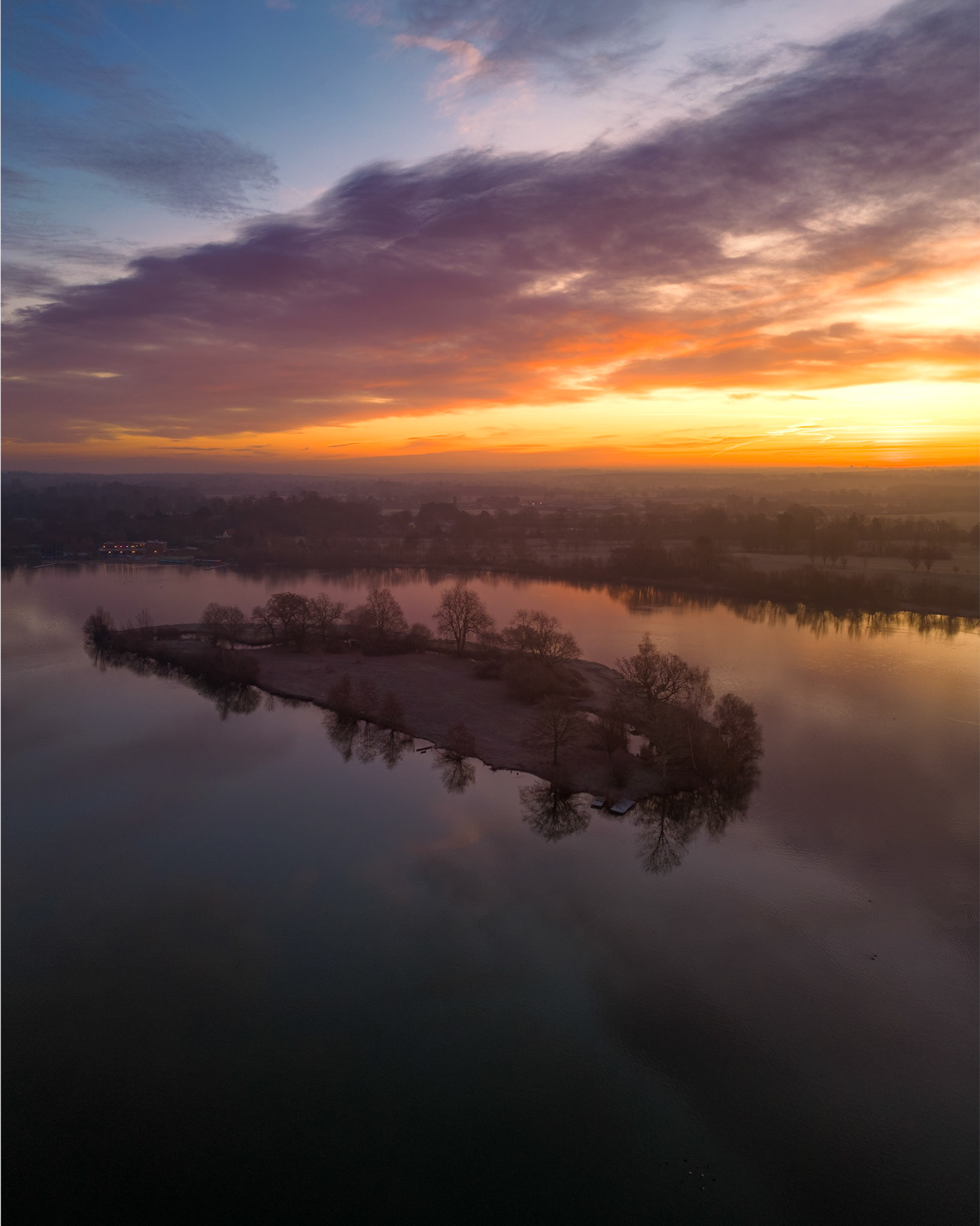 Black Swan Lake, Dinton Pastures (1001)
