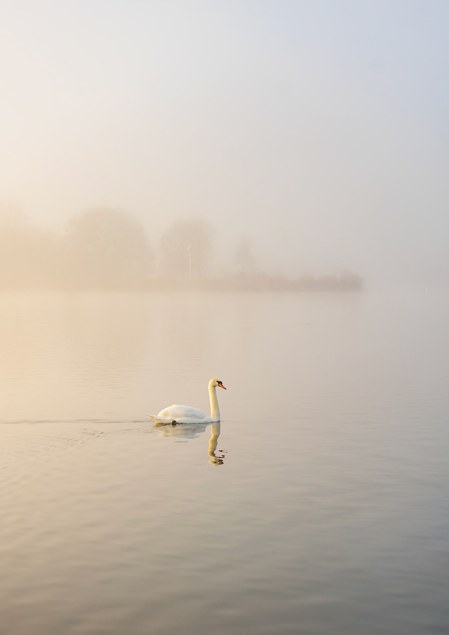 Hushed Waters (4011)