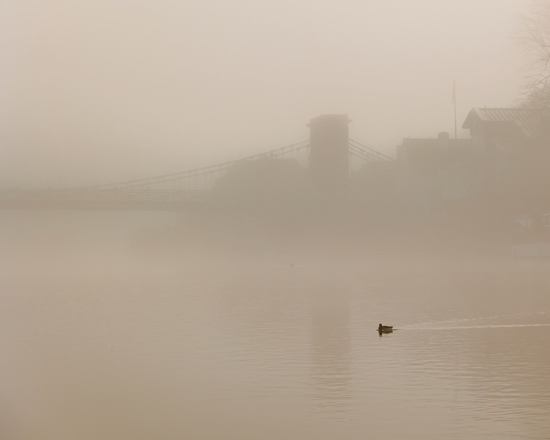 Marlow Mist I (3006)