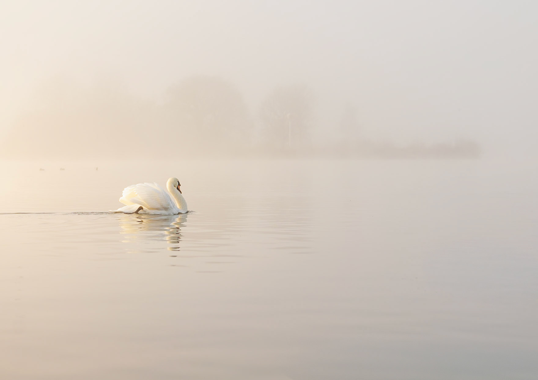 First Light (4012)