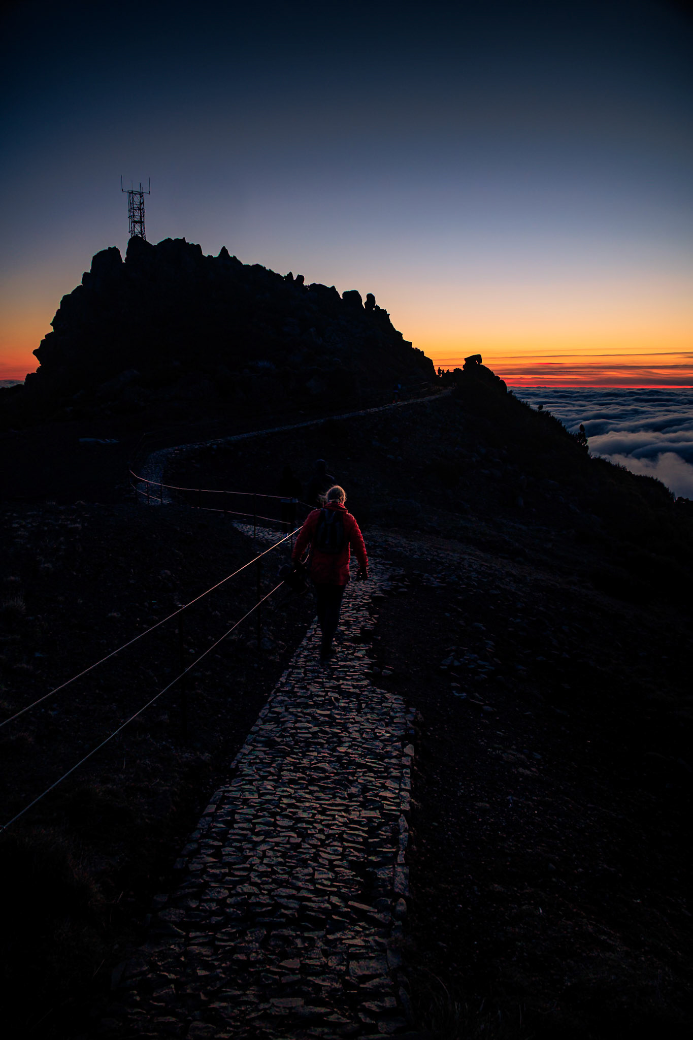 Into the Dawn