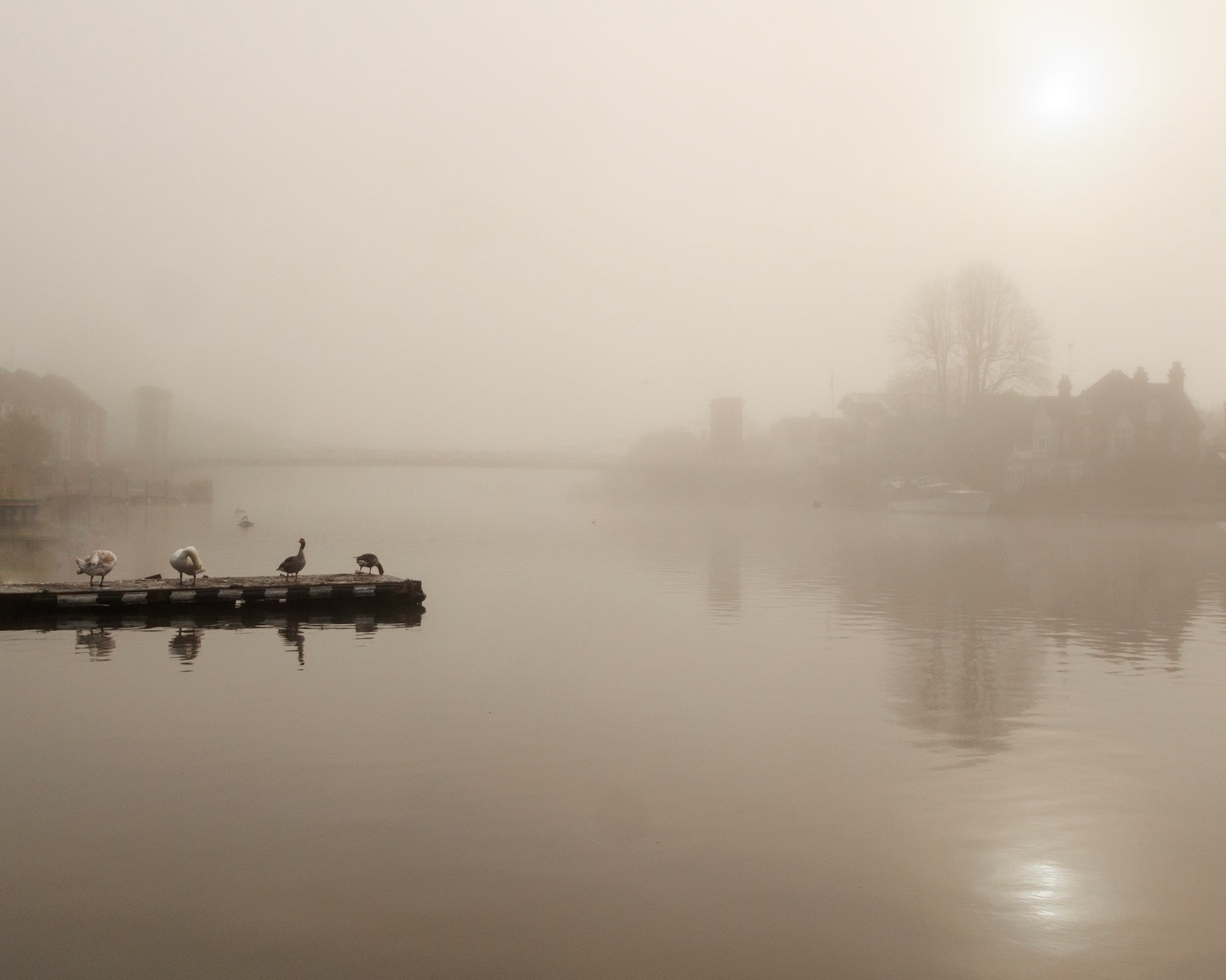 Marlow Mist II (3007)