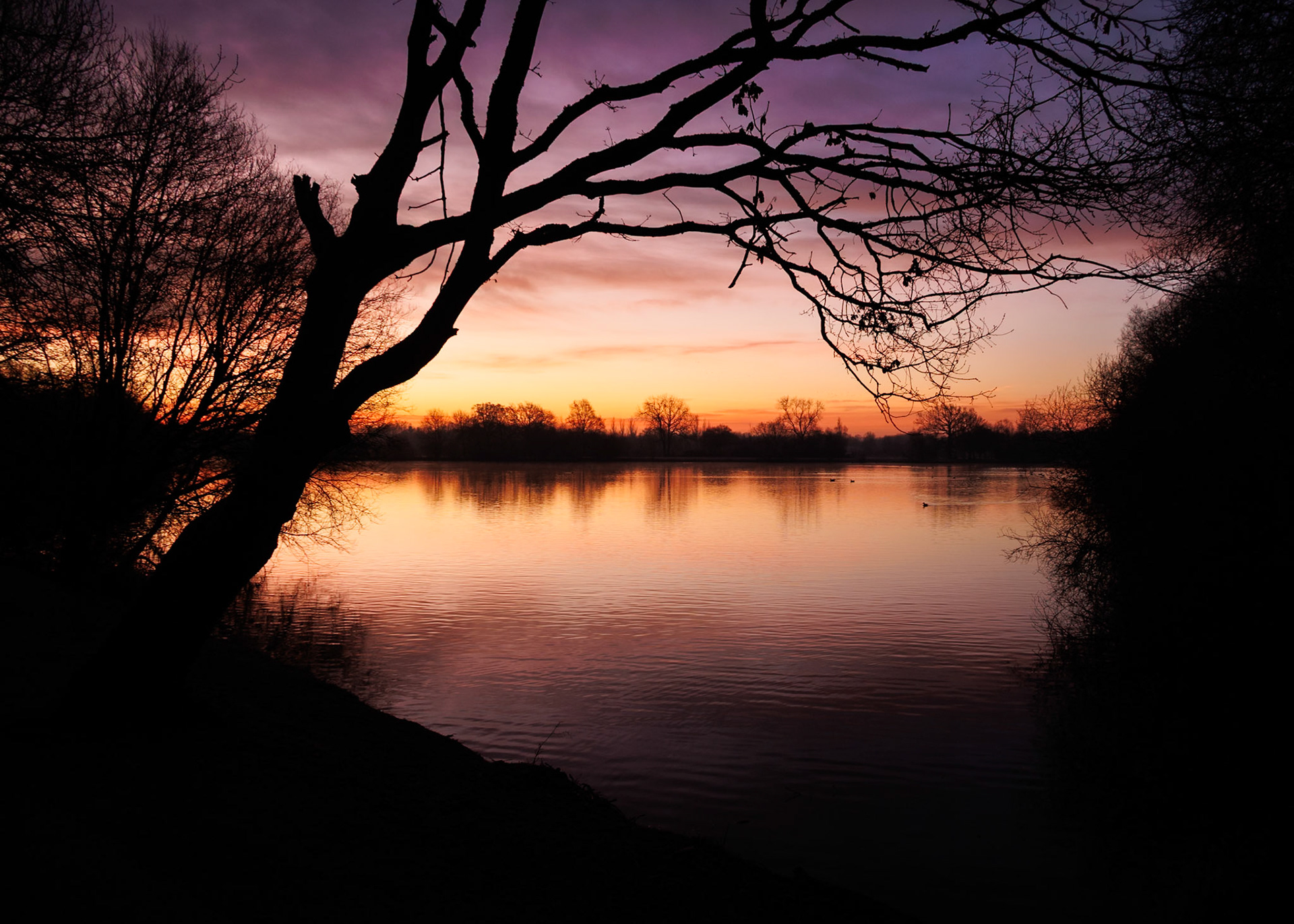 Dinton Dawn II (3005)