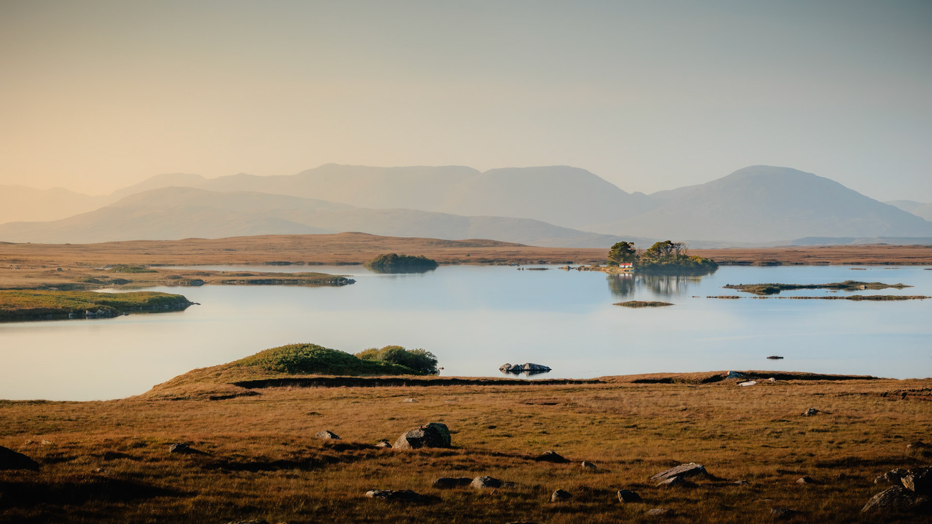 Haven (8011 panoramic)