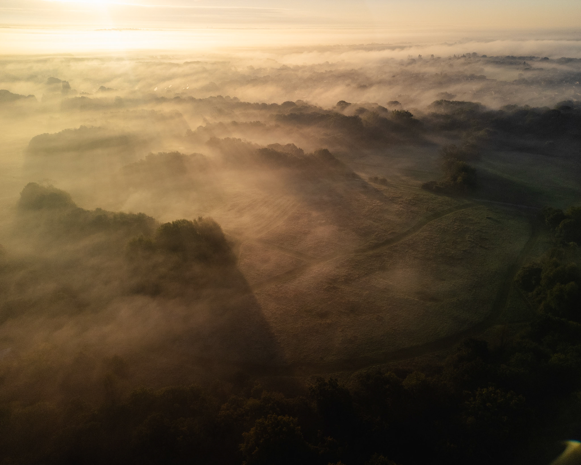 Ashen Shadows (1019)