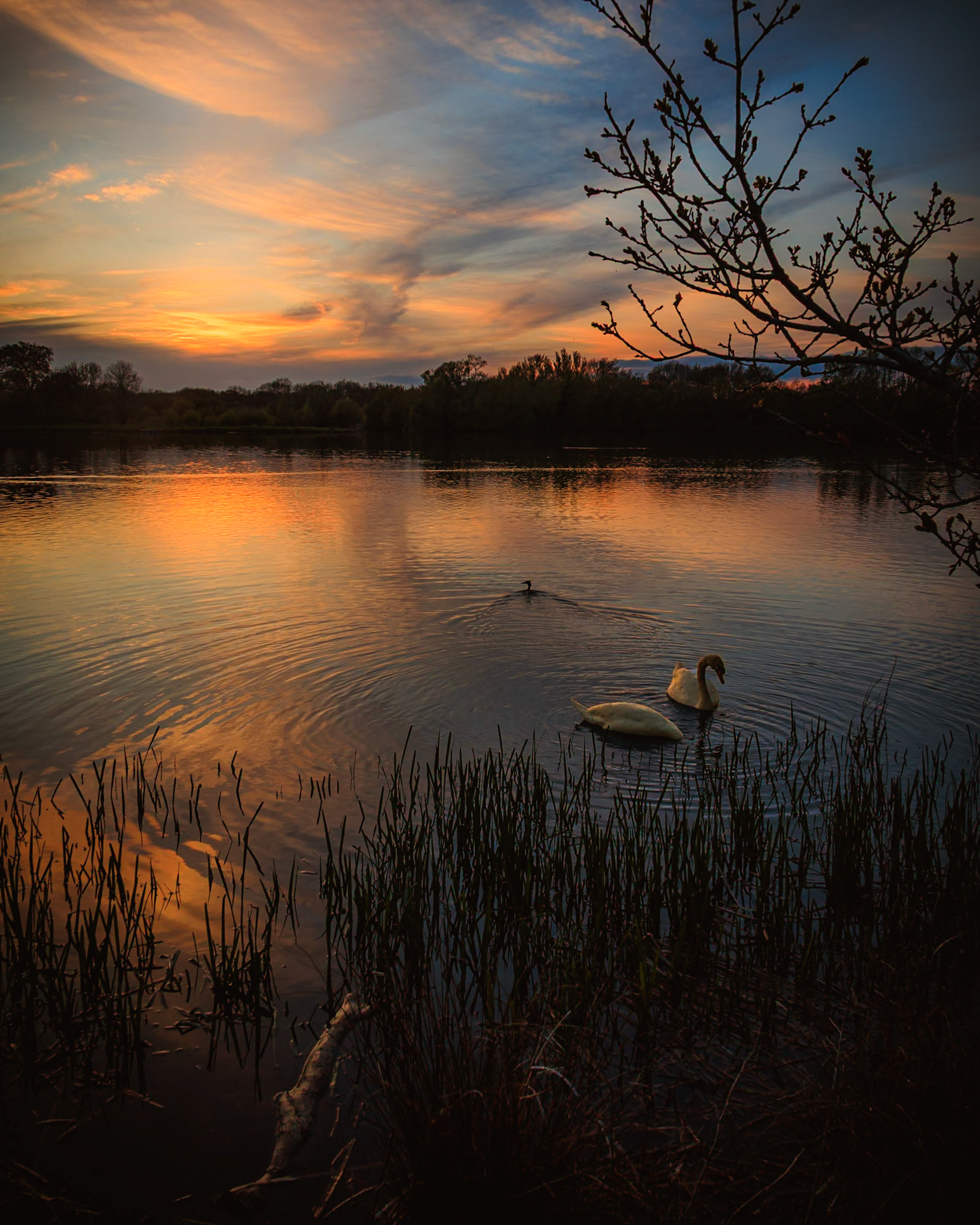 Dinton Dusk (3014)
