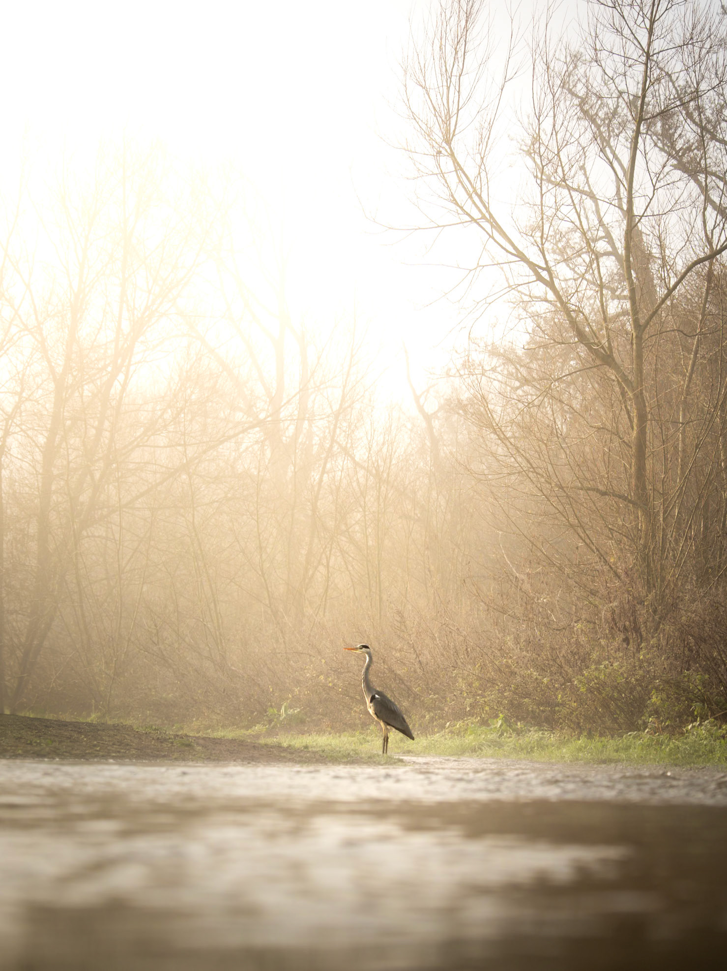 "Waiting (4010)"
