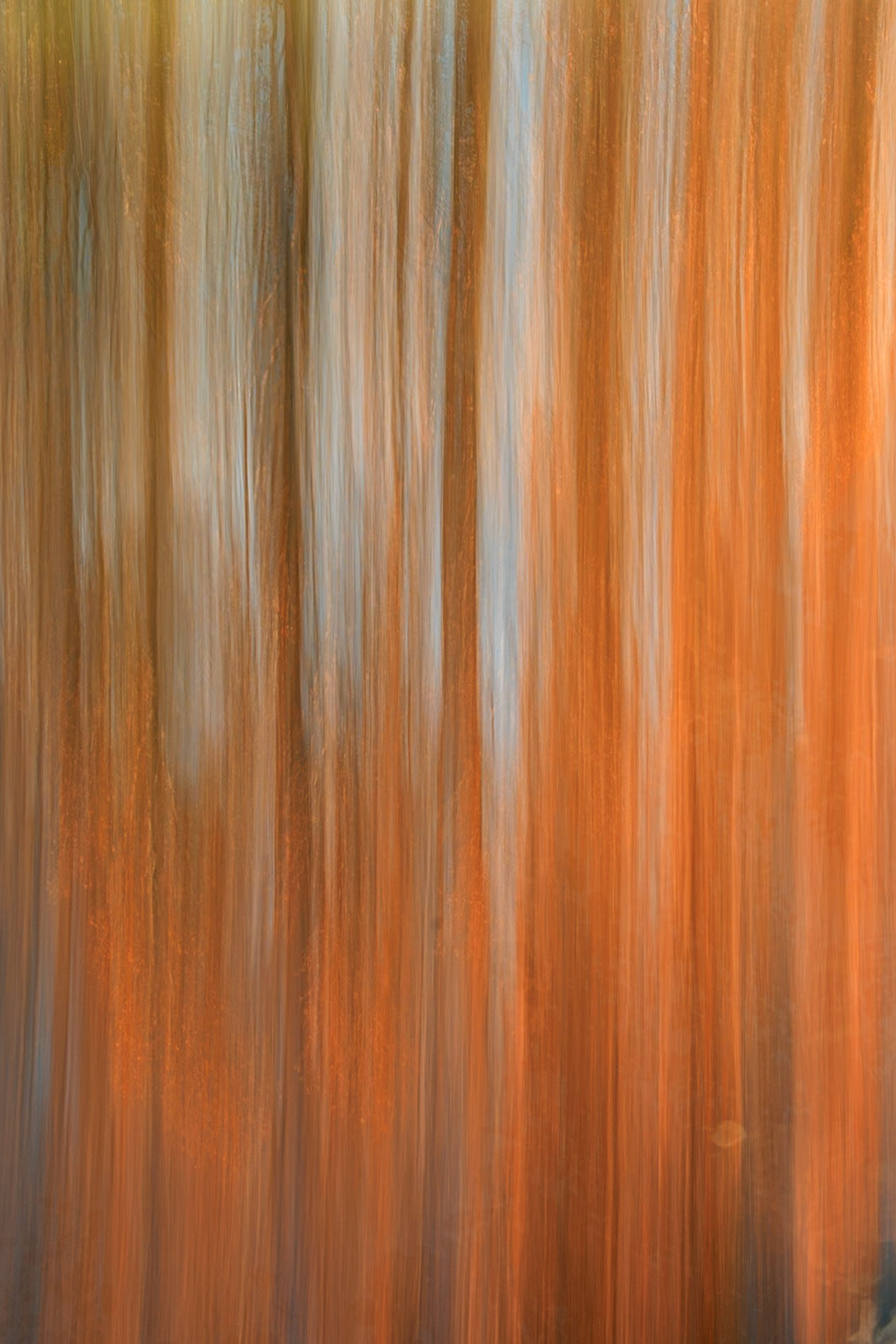 Autumn Trails (5019)