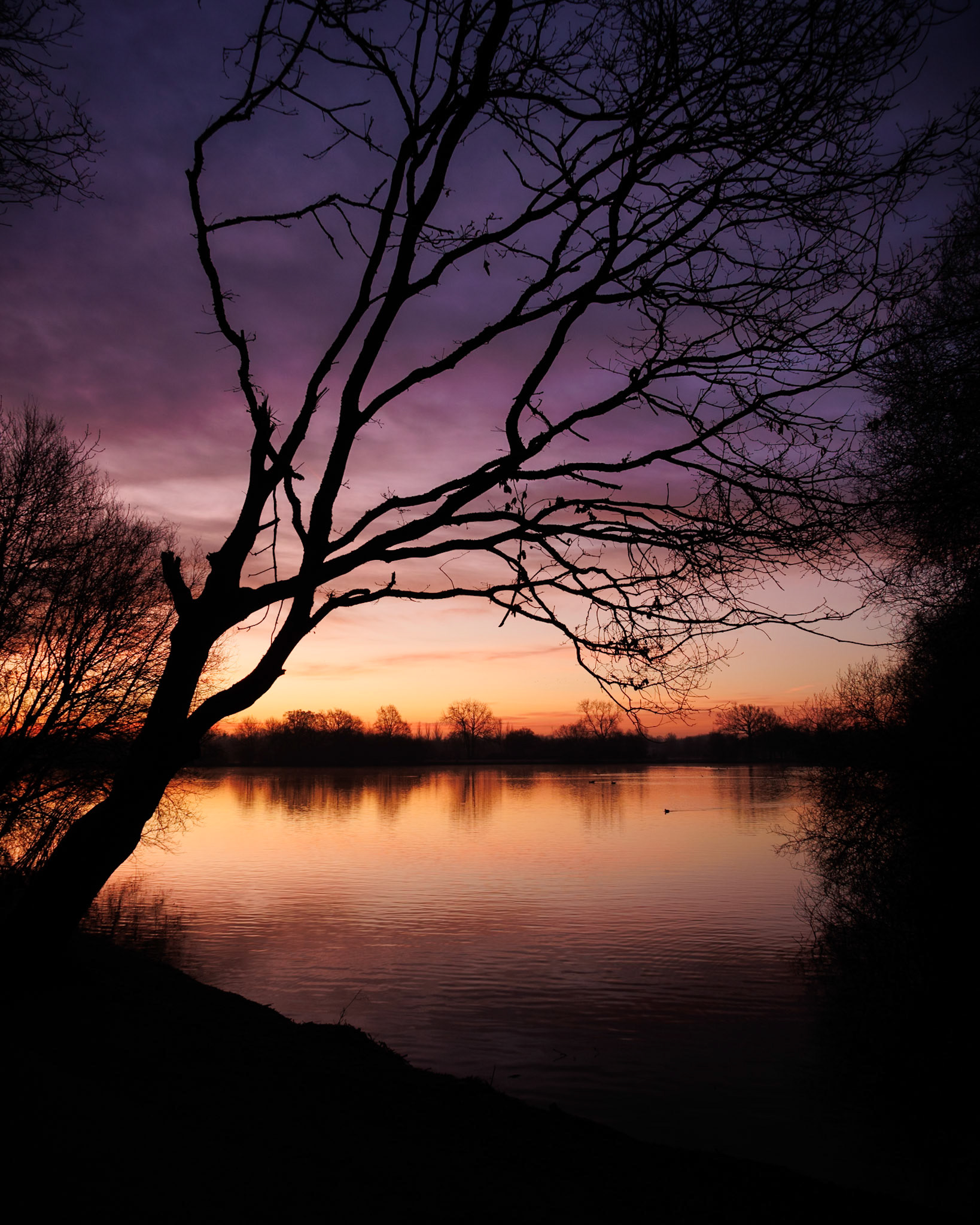 Dinton Dawn I (3004)