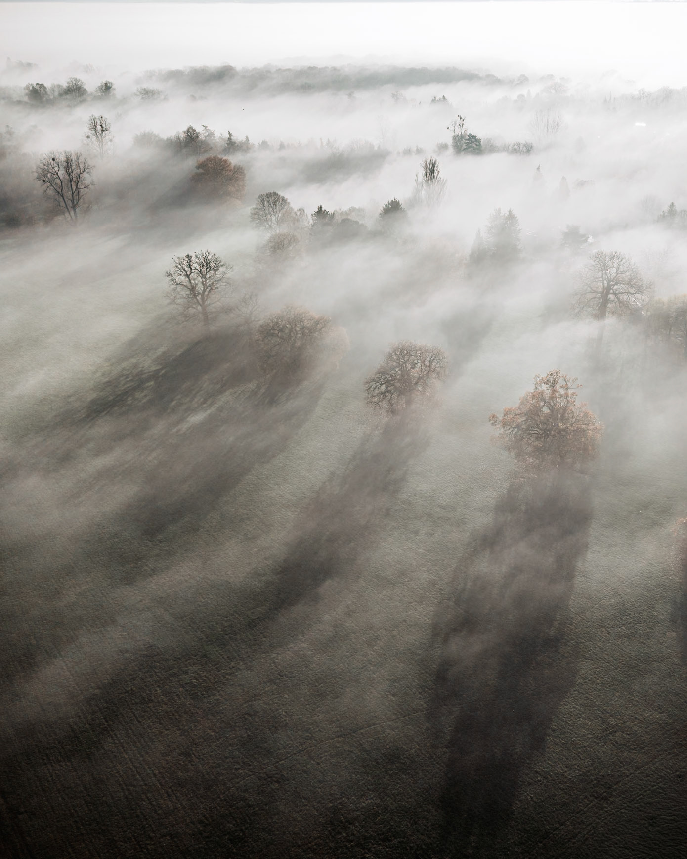 Soft Horizons (1027)