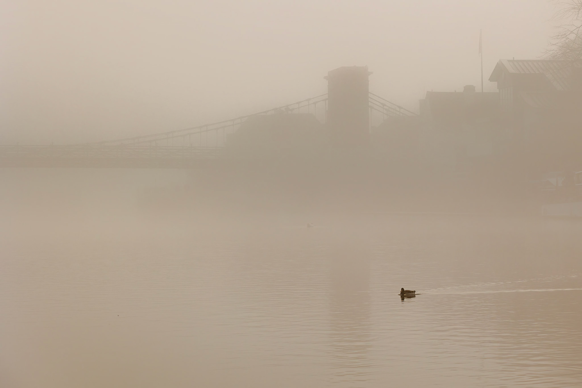 Marlow Mist I (3006)