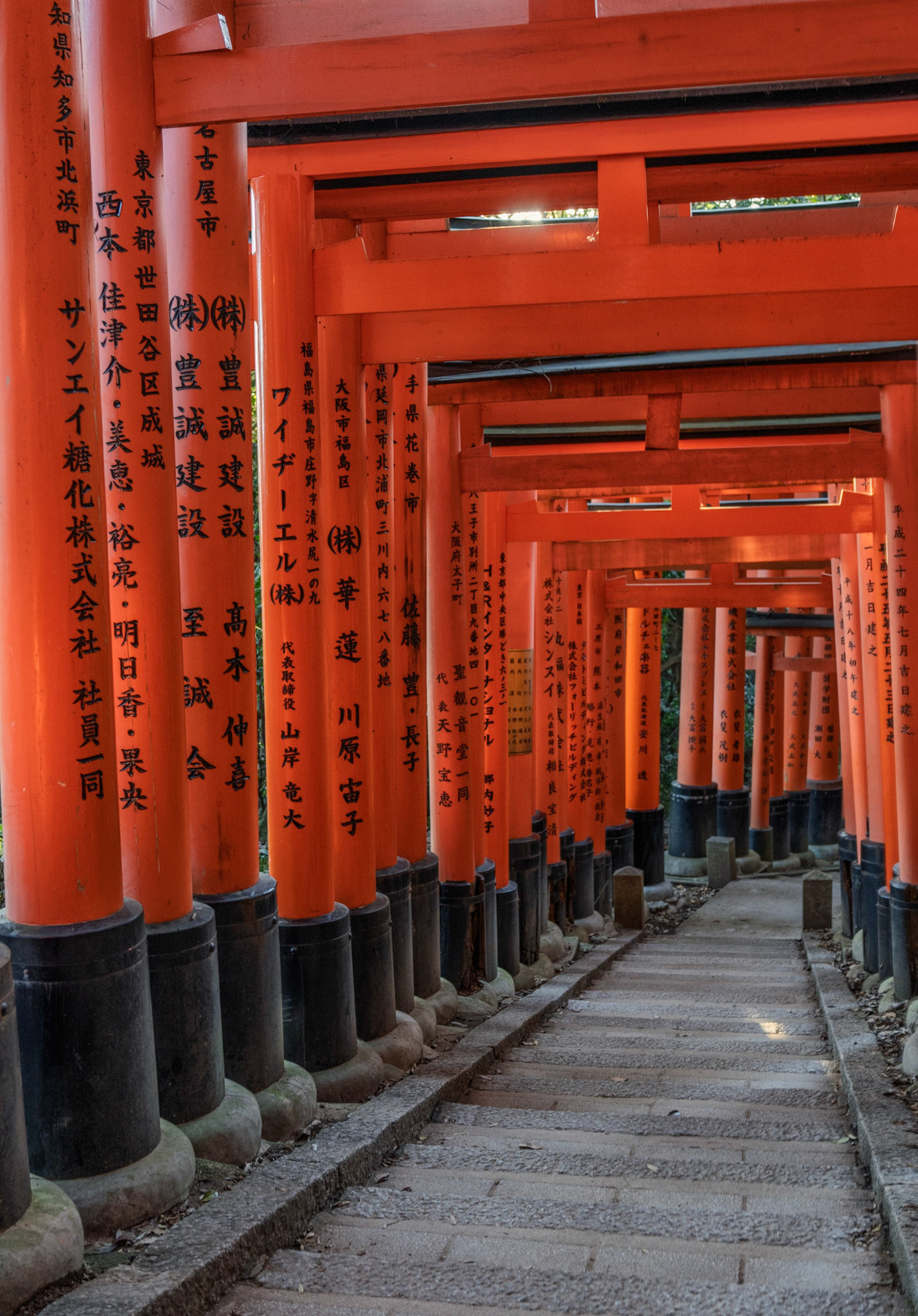 Steps through torii gates at Fushimi Inari in Kyoto