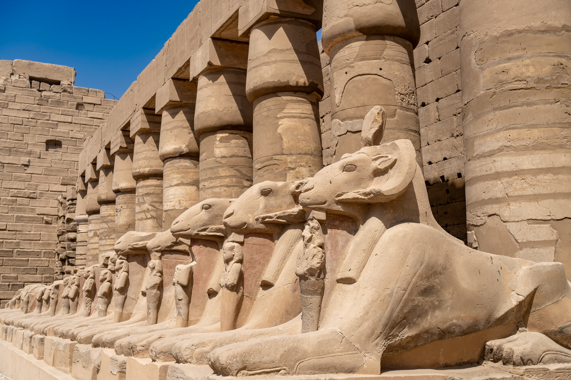 Rams outside Set's temple at Karnak Temples