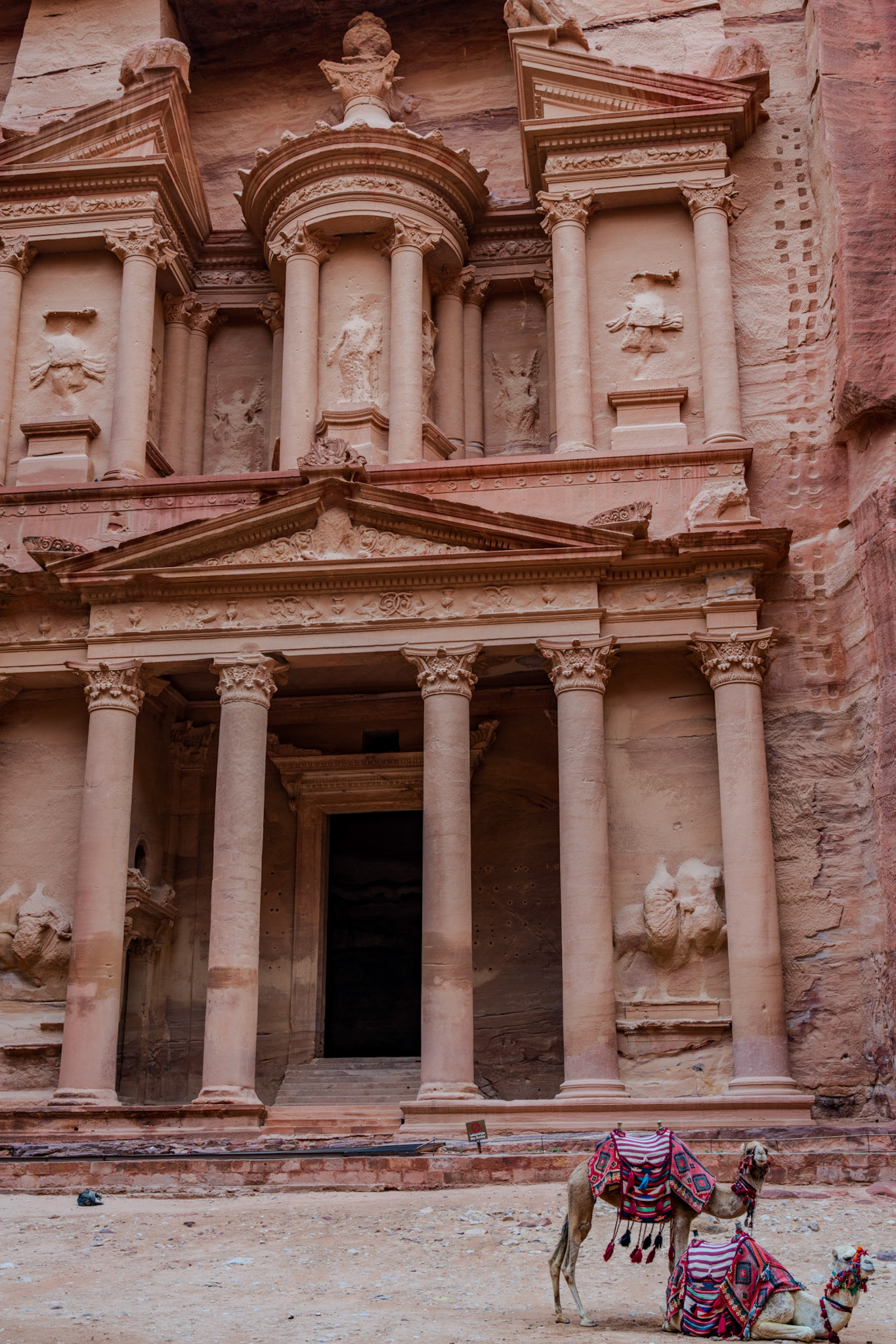 Camels in front of the Treasury of Petra