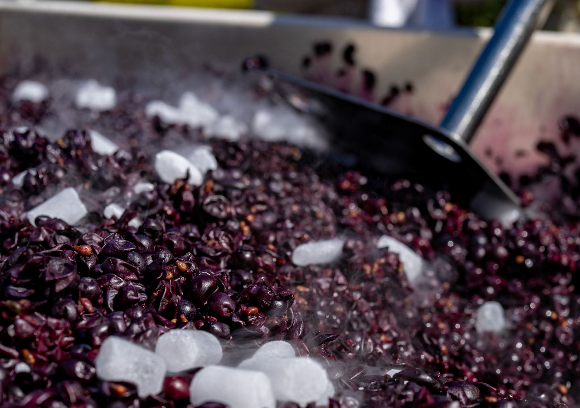 Dry ice on top of a Zinfandel grape crust before punching down into the juice below