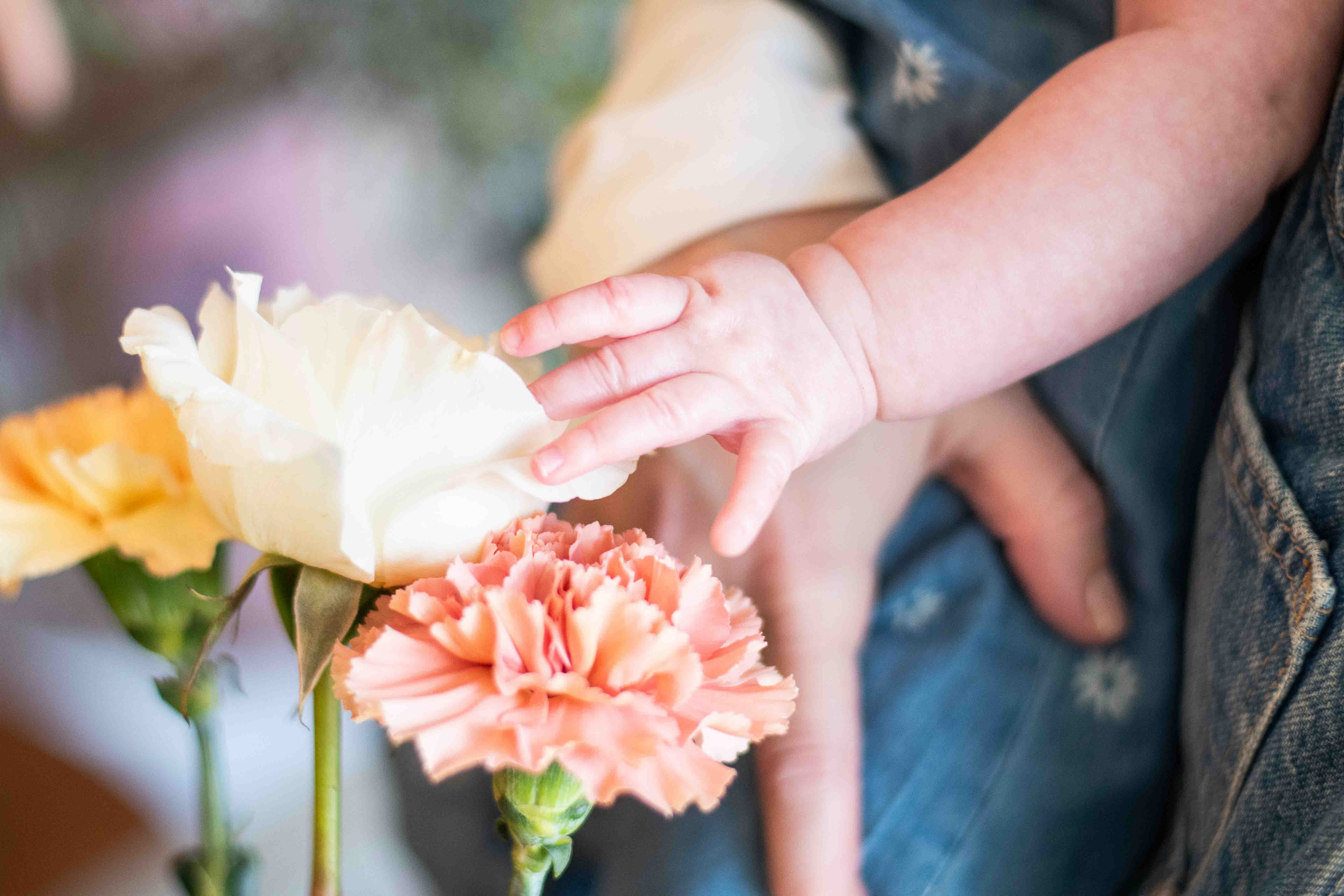 Family Photography, Warren, PA