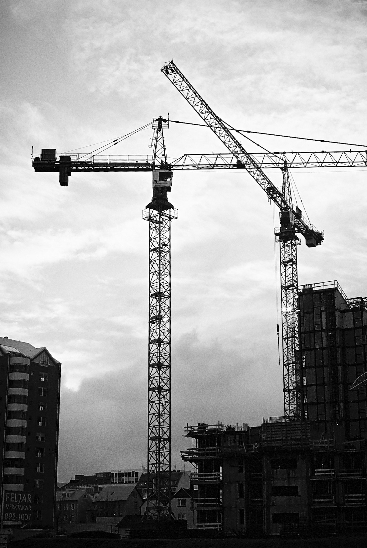 Cranes, Reykjavík 2015