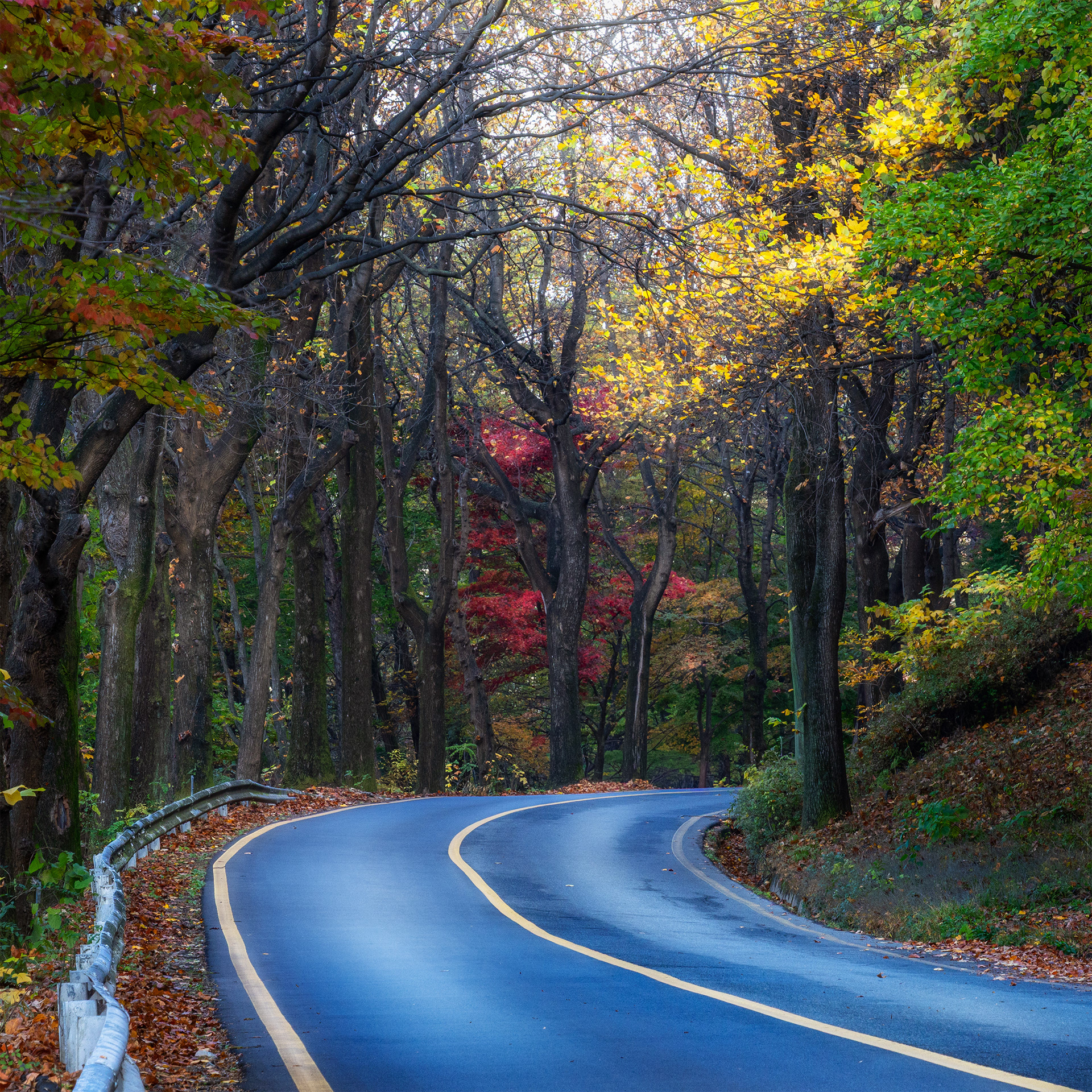 Autumn in Korea- A journey to Nature. 