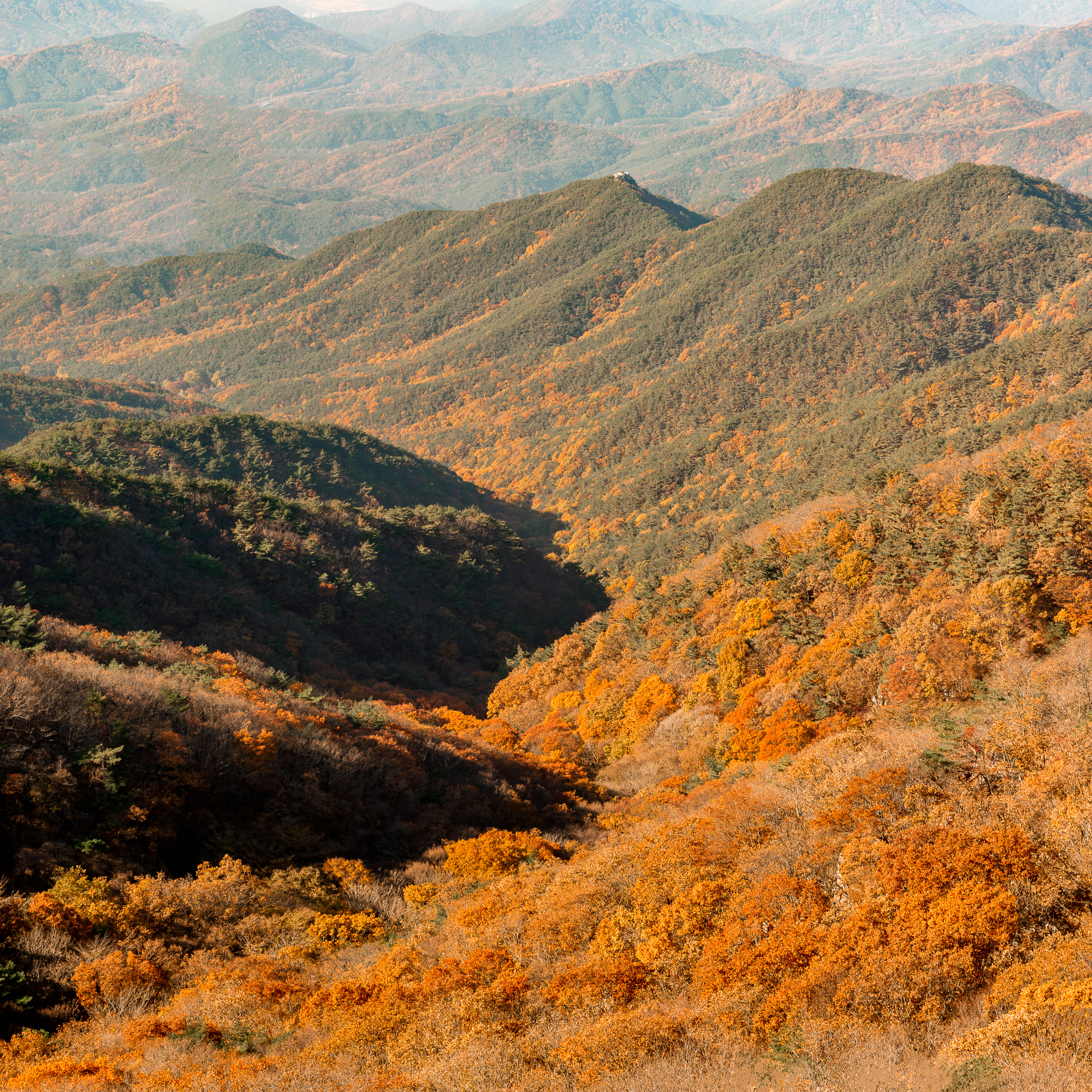 Autumn in Mt. Palgong 팔공산