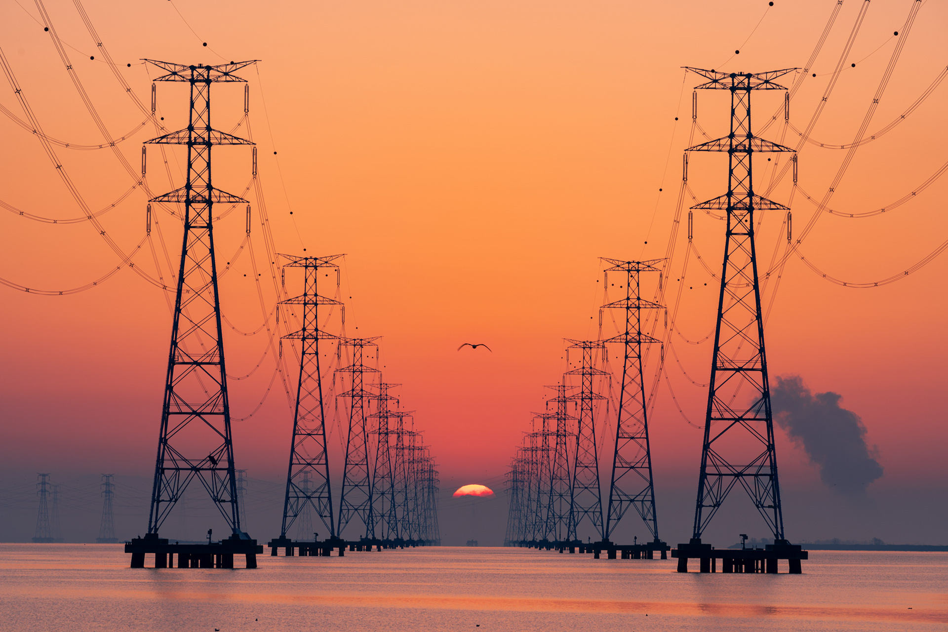 The Perfect Rise