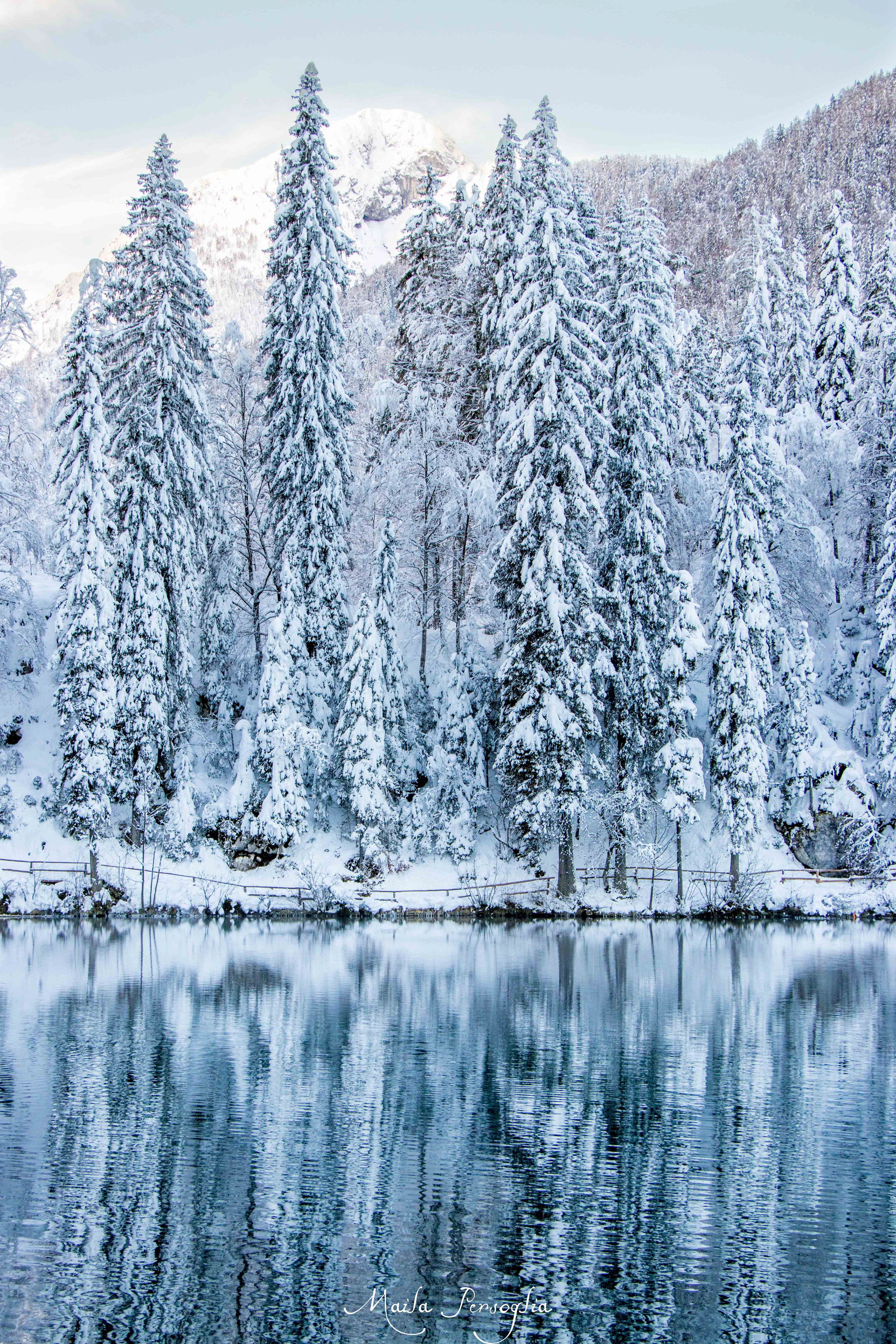 Lago Inferiore di Fusine