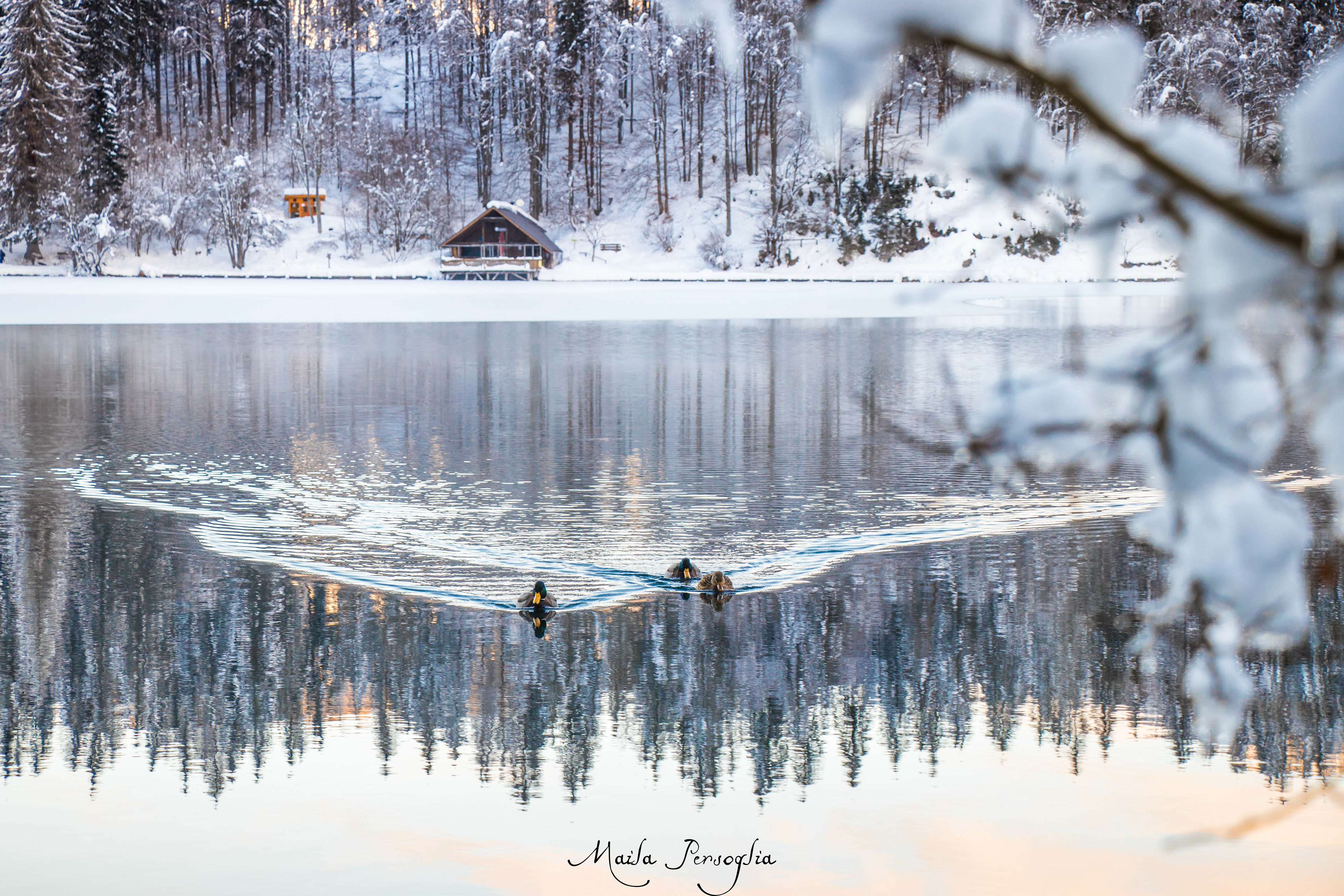 Lago Inferiore di Fusine