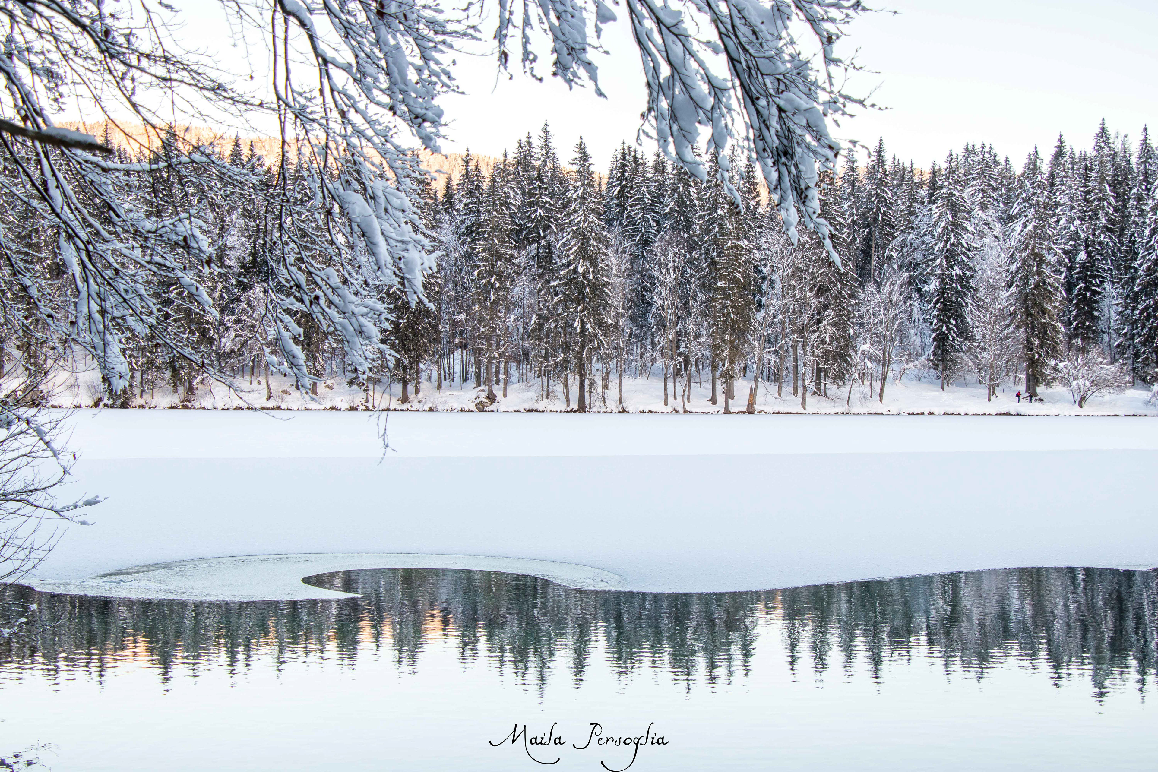 Lago Inferiore di Fusine