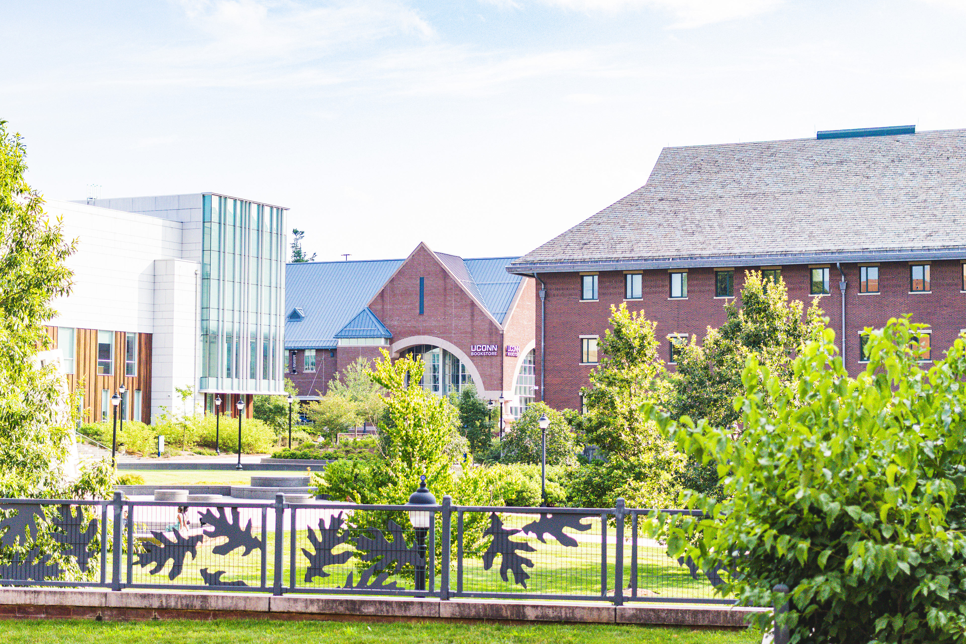 UCONN, 2025
