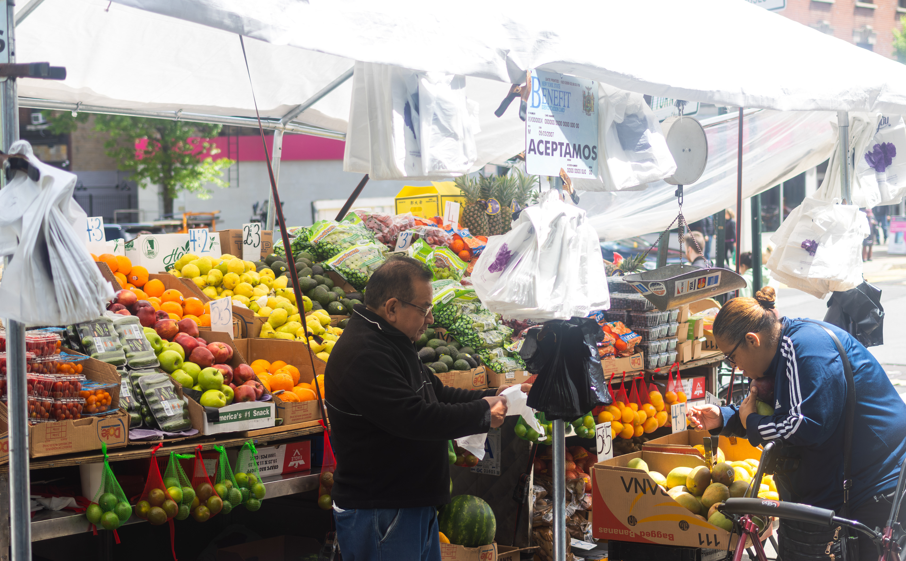 Fruits, 2025