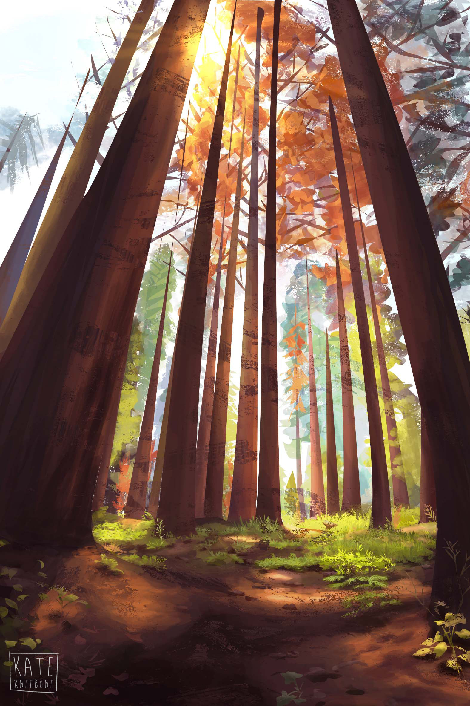 Redwood forest painting, 2019