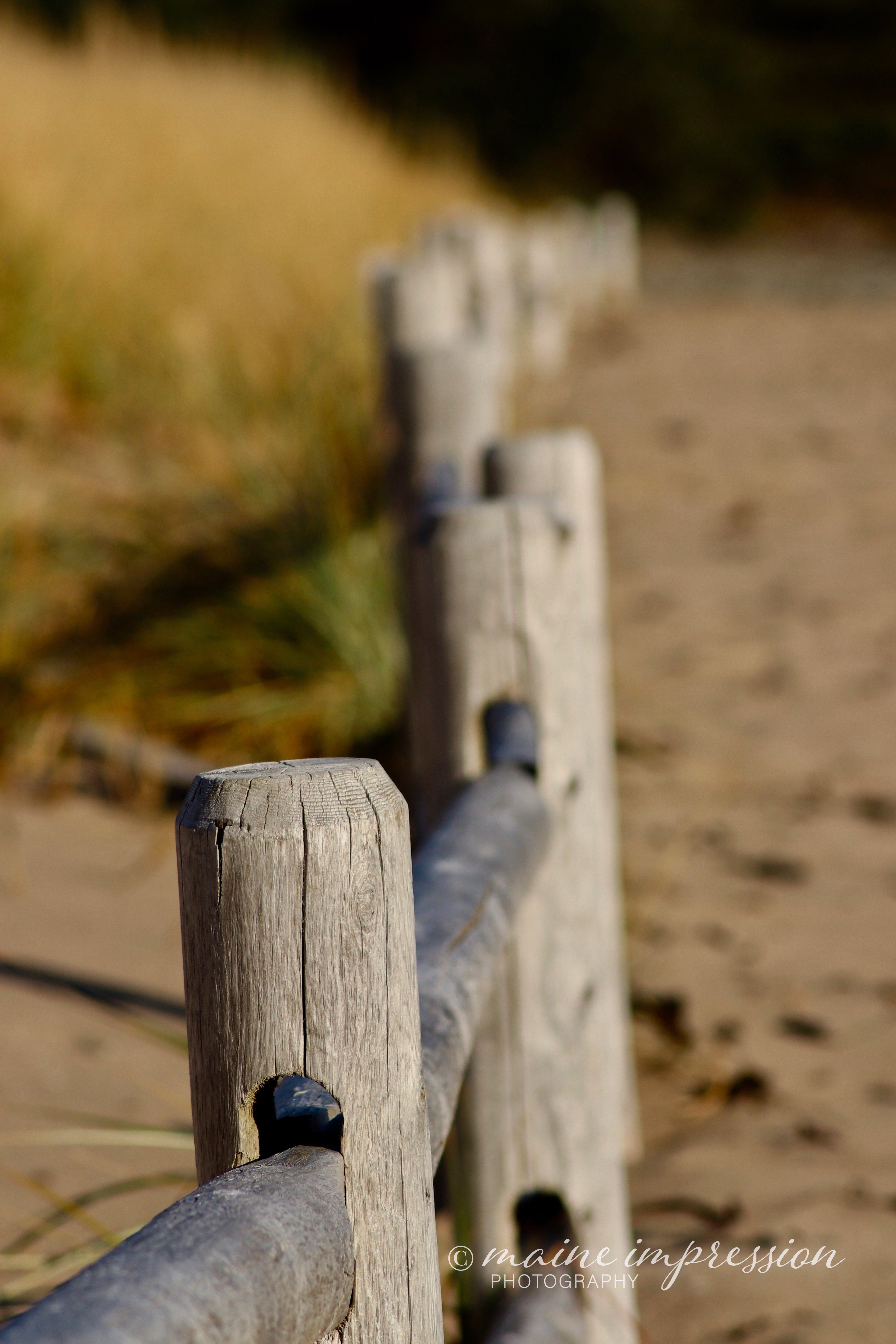 Fence at Sand Beach