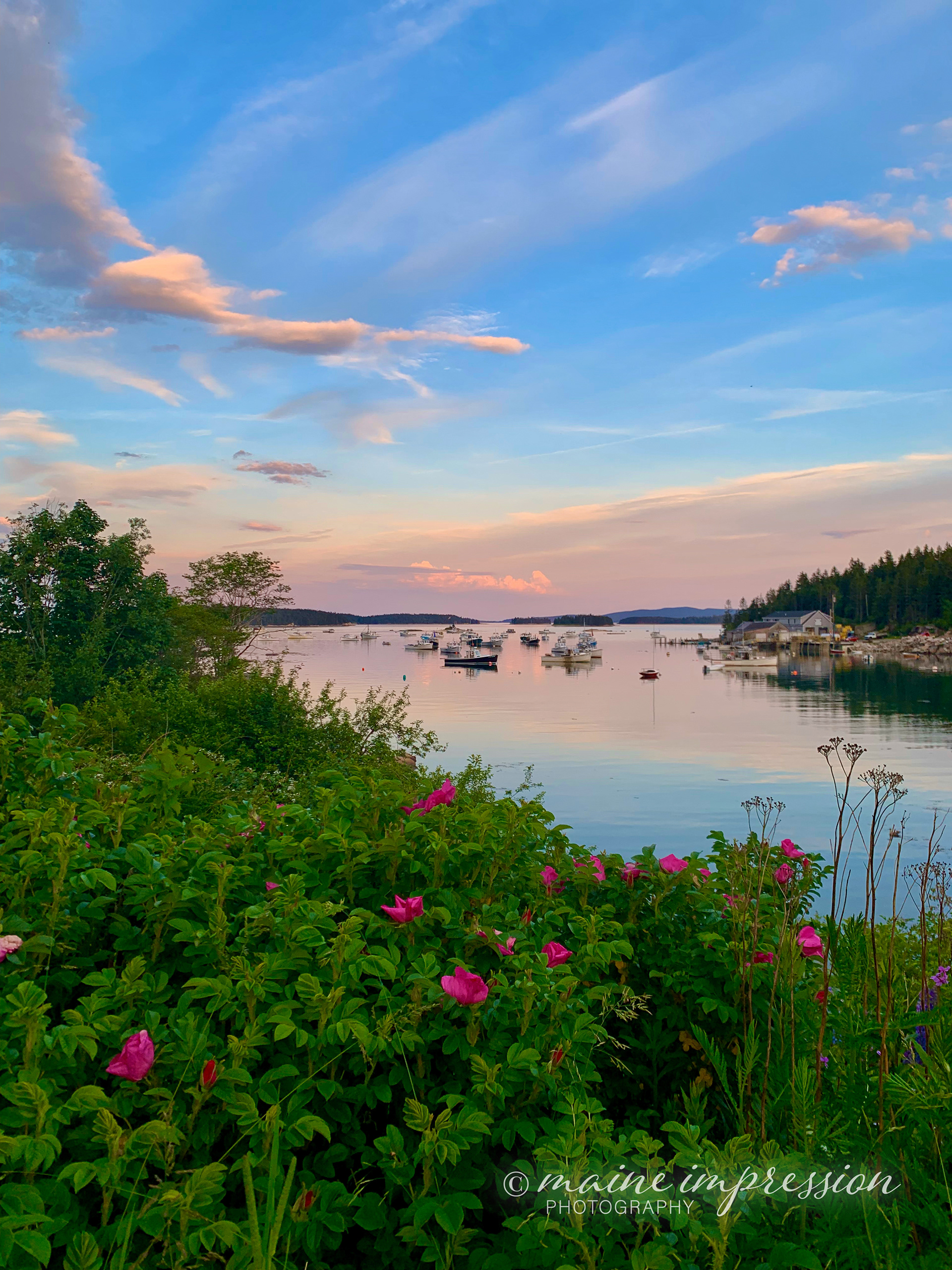 Flowers at Stonington