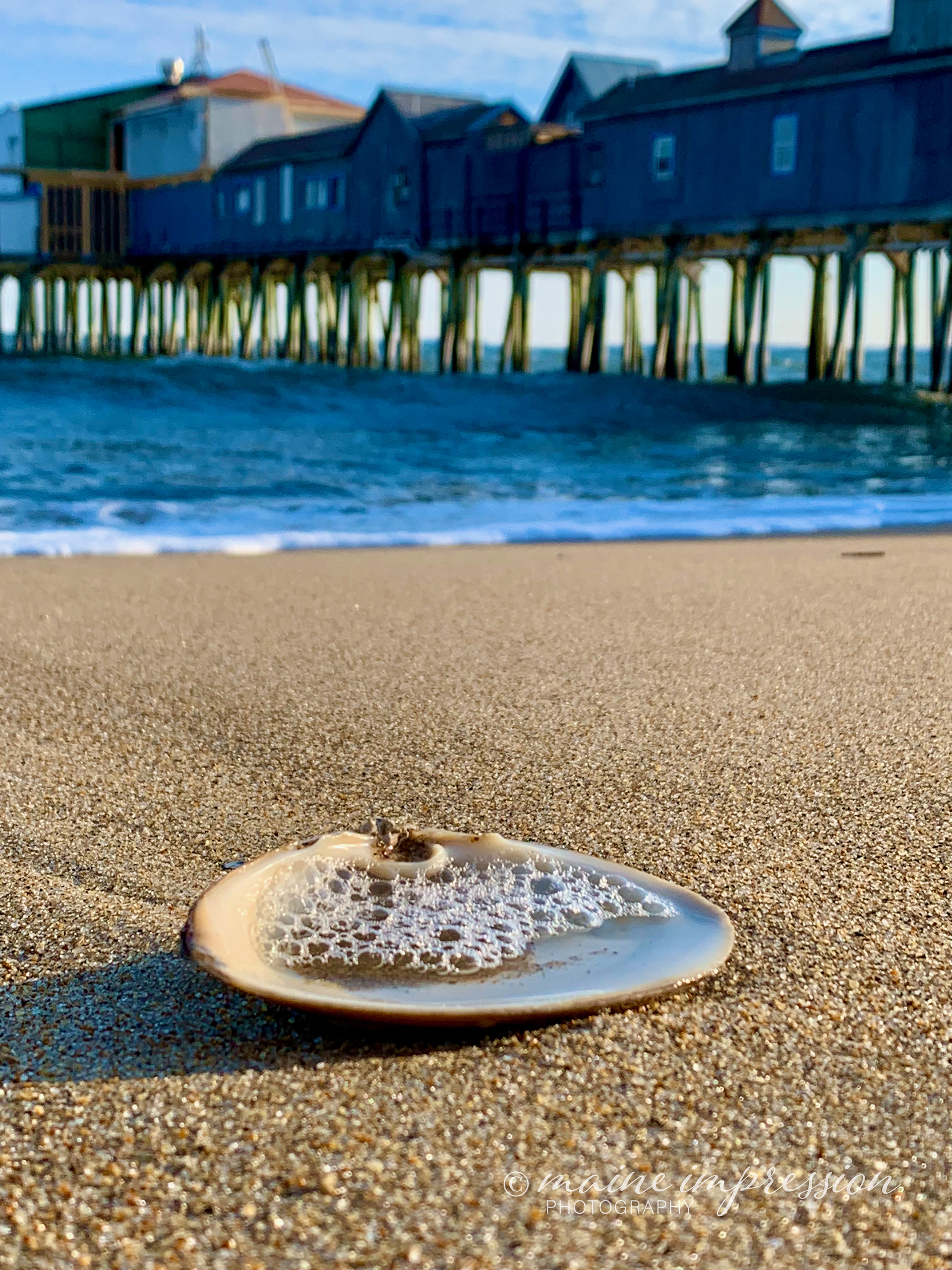 Old Orchard Beach Pier Shell 3